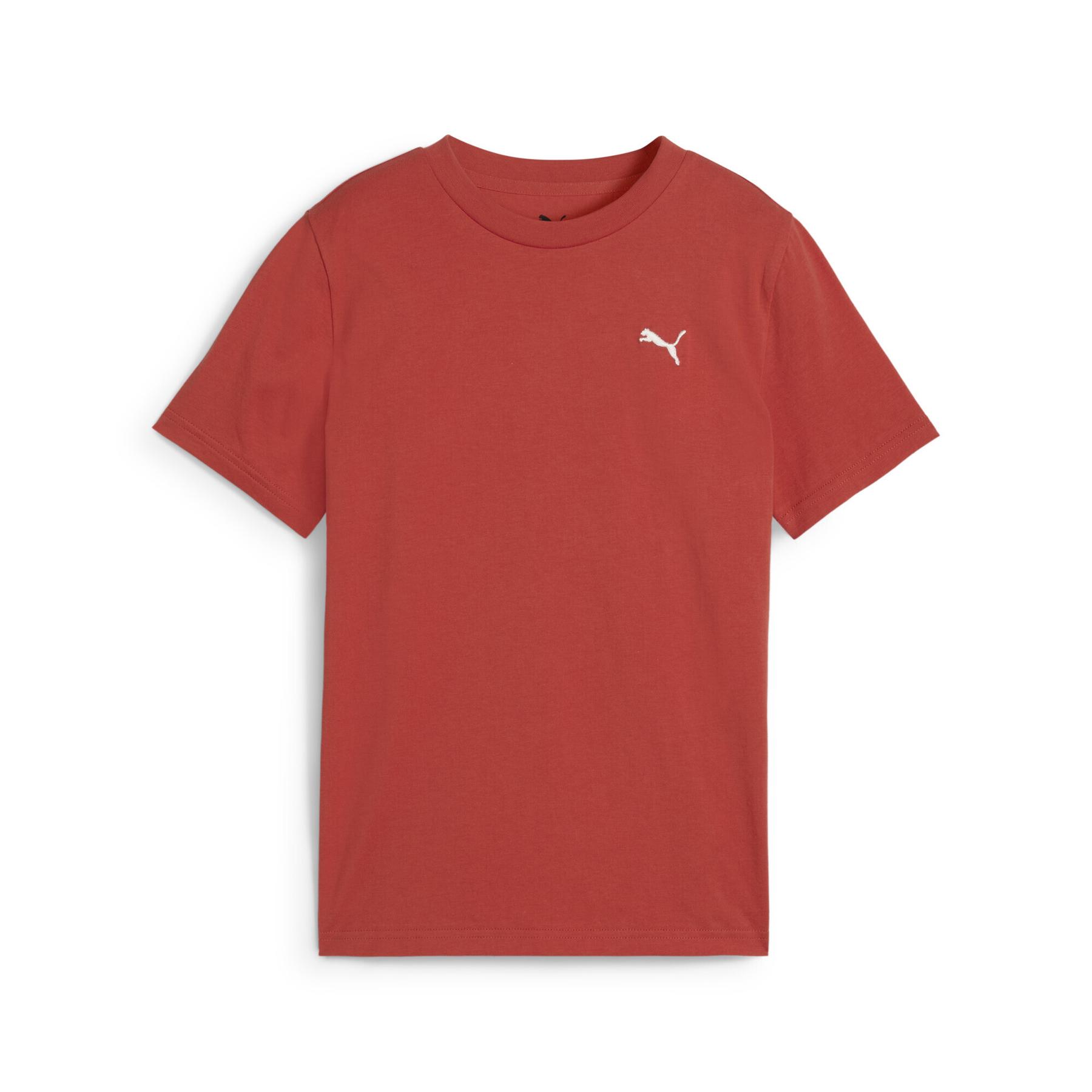 4067983364761 - T-Shirt Essentials