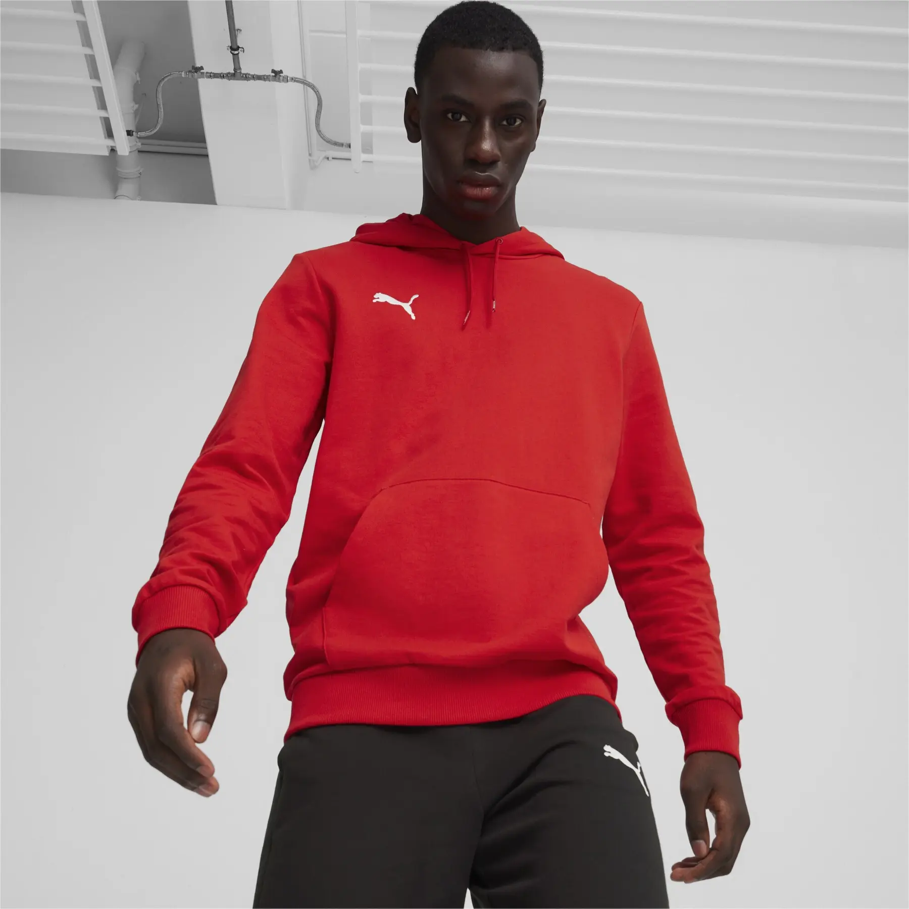 Hooded sweatshirt Puma Teamgoal Casuals | Foot-Store