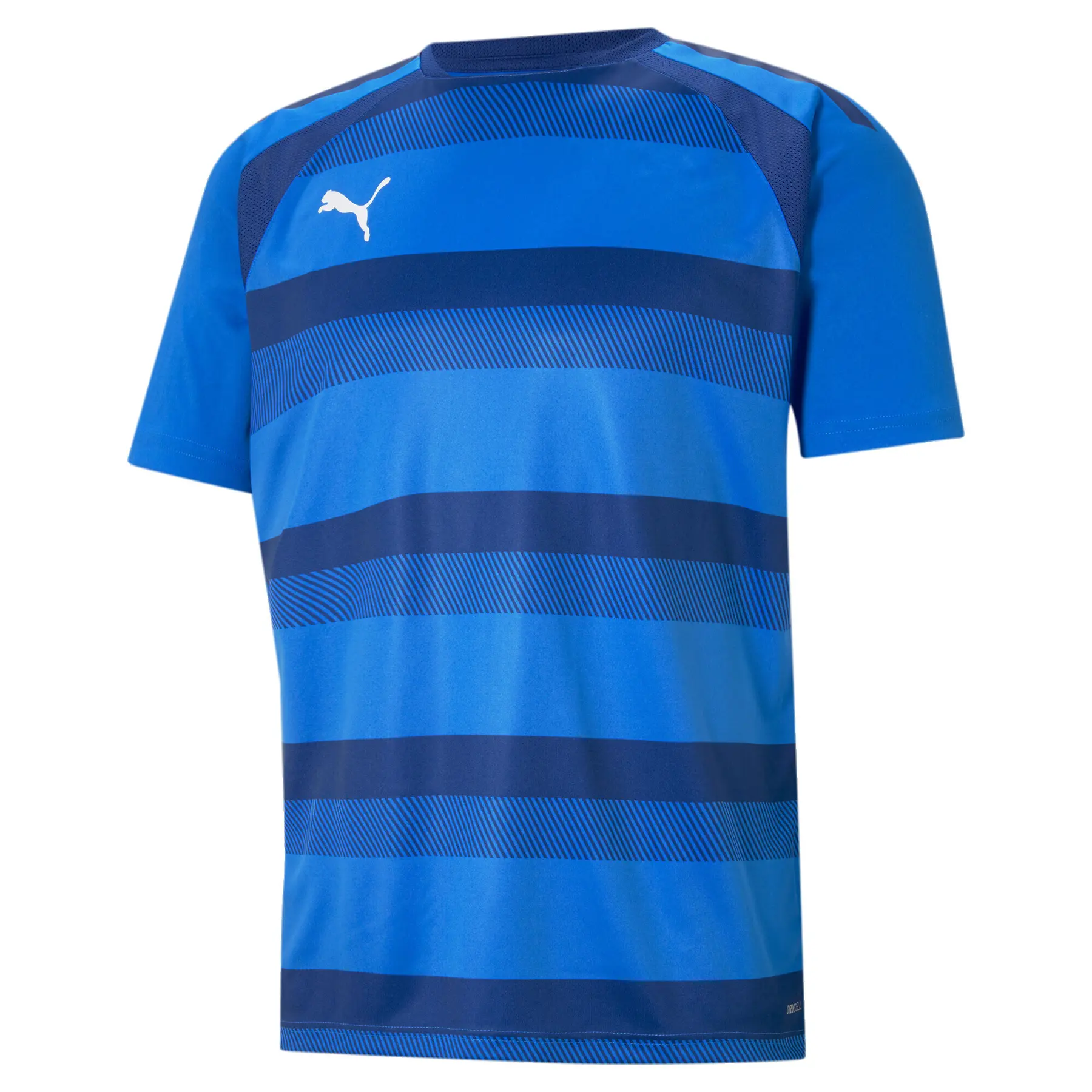 Trikot Puma Team Vision