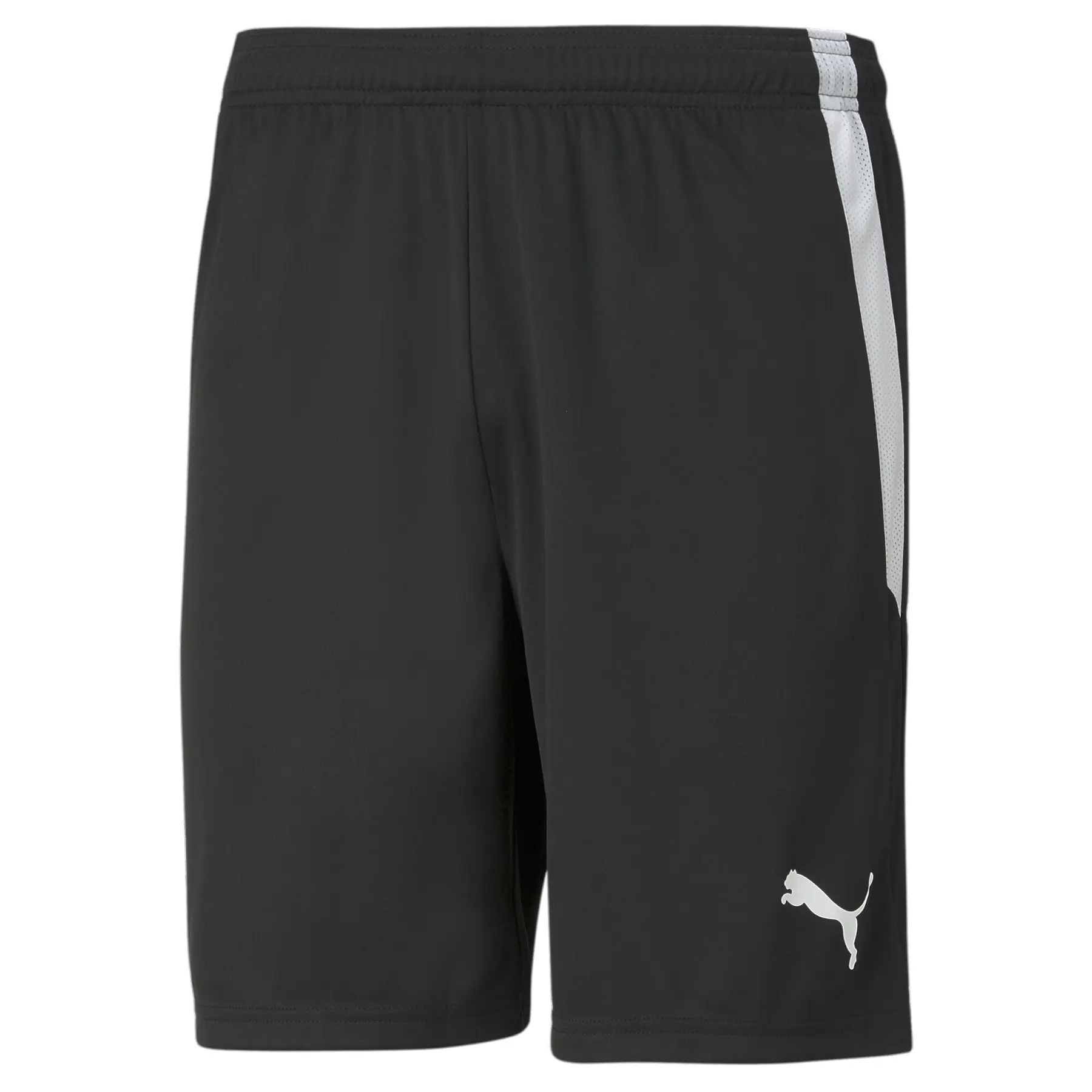 Puma Homme Short Team Liga, Noir, Taille L