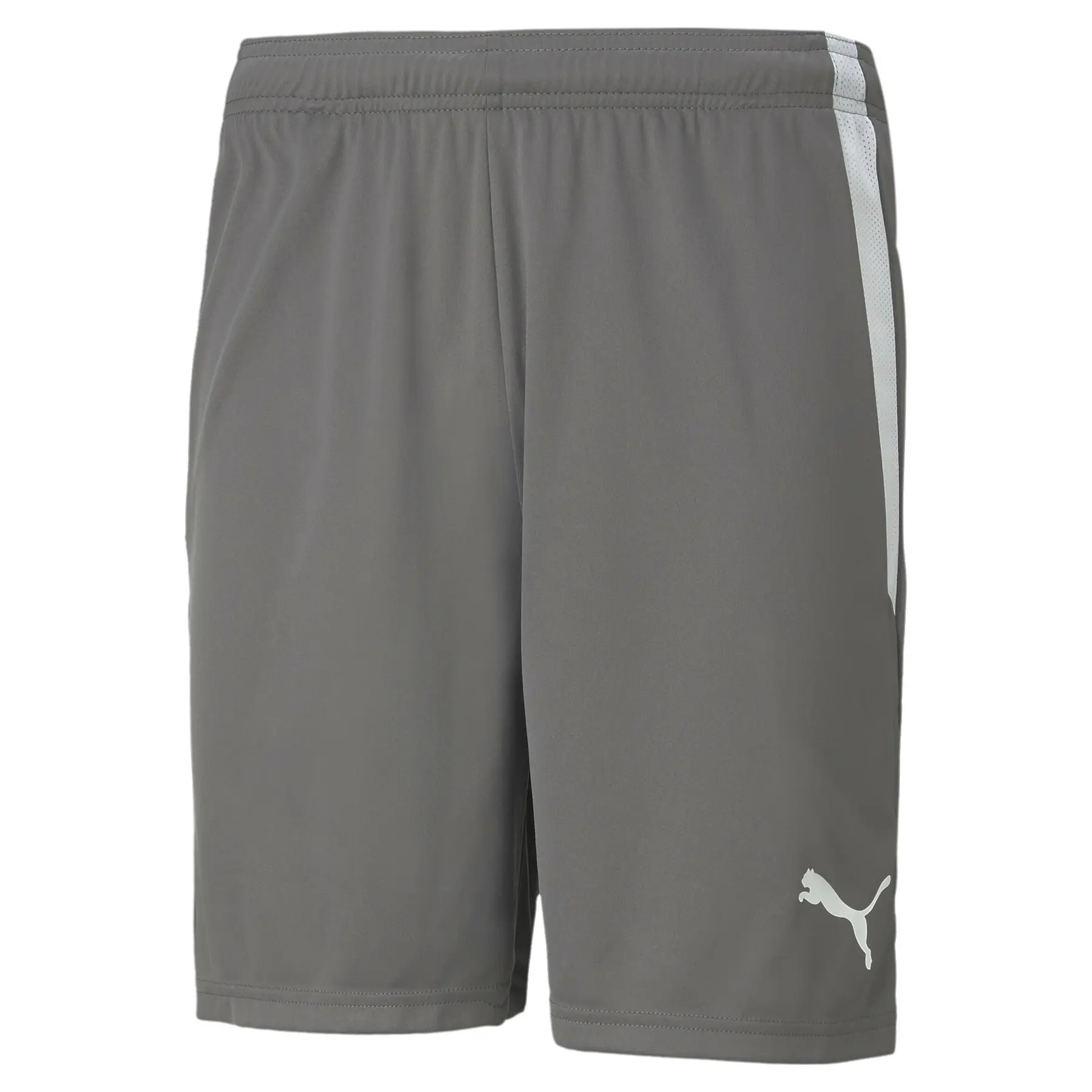 Short Puma Team Liga