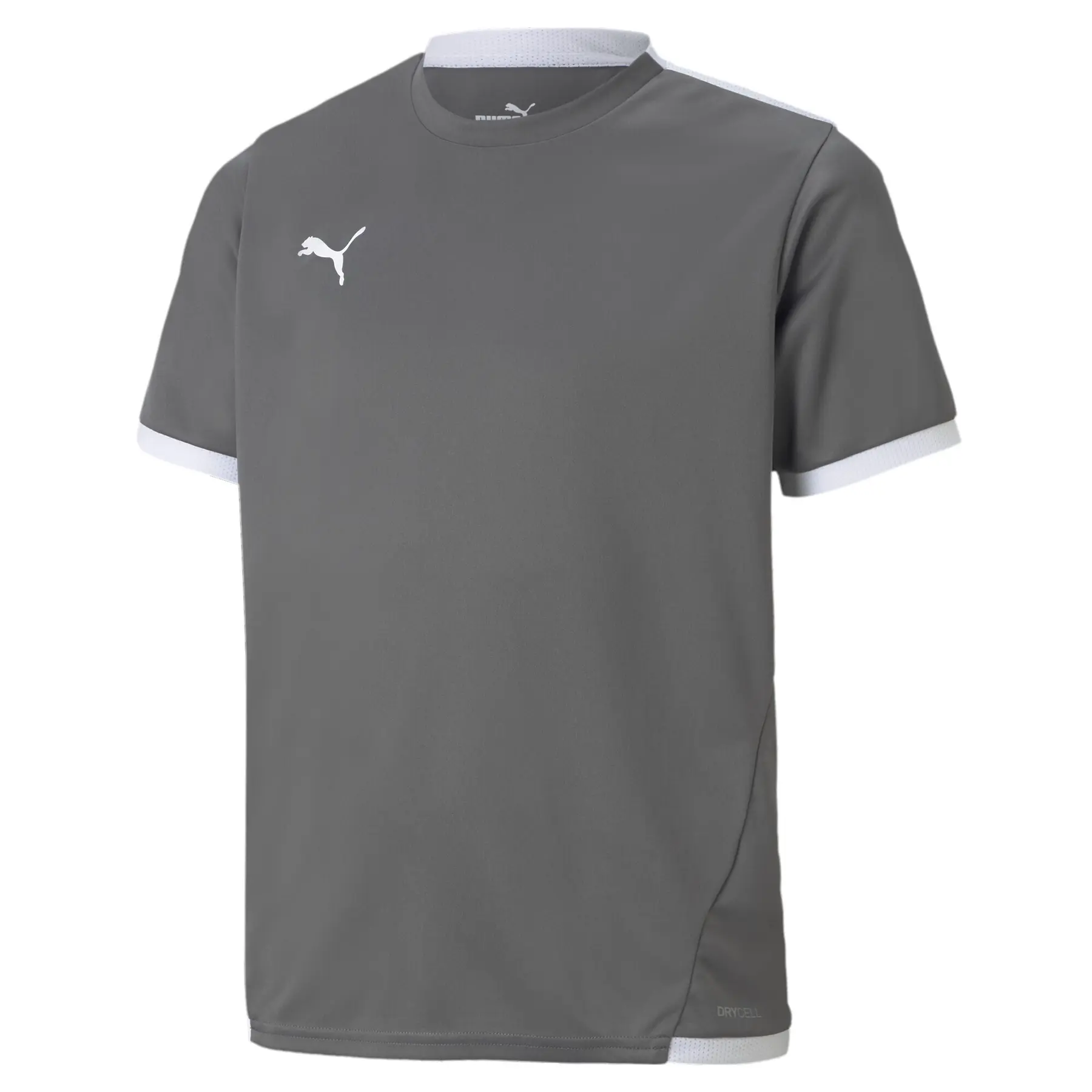 Kindertrikot Puma Team Liga