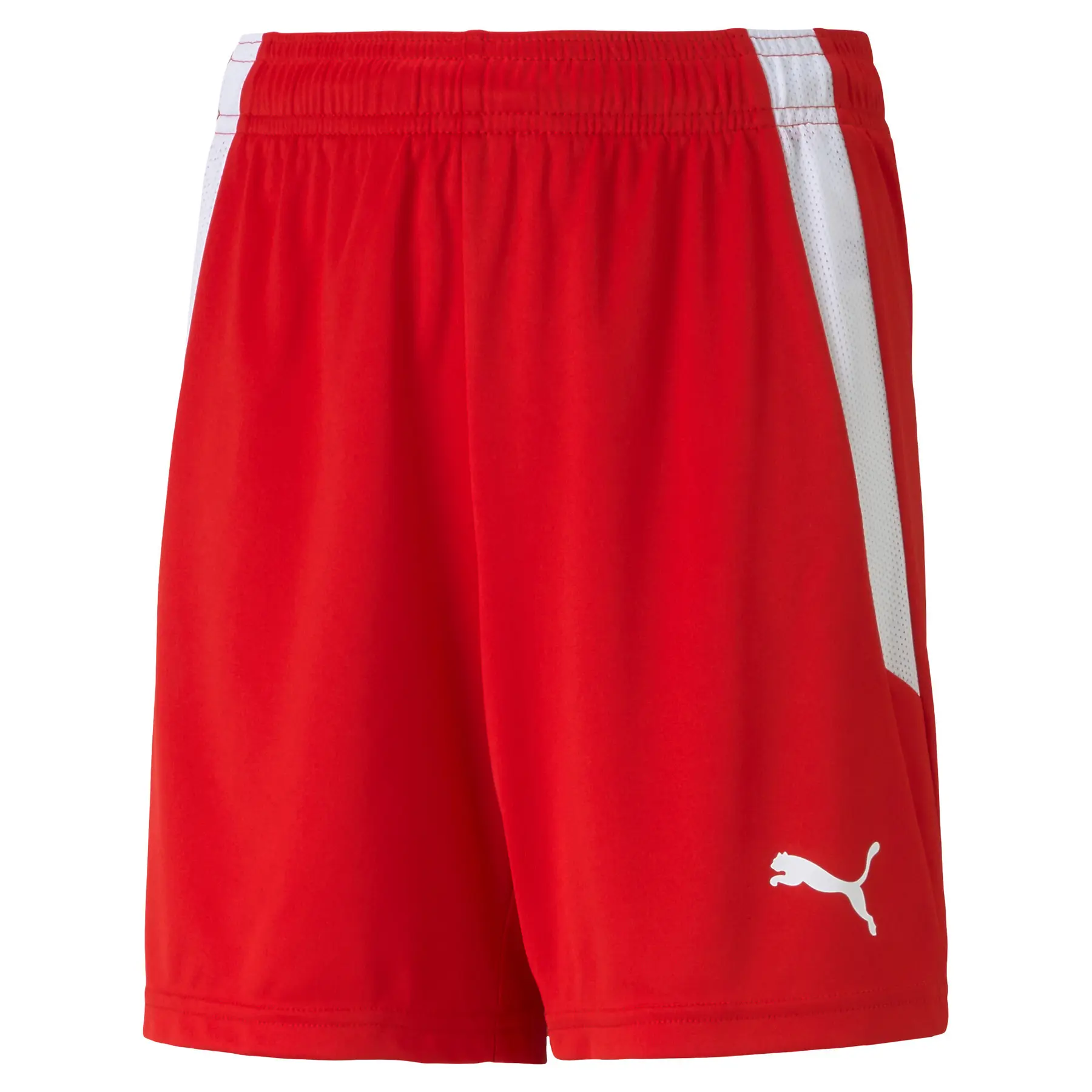 Kindershorts Puma Team Liga
