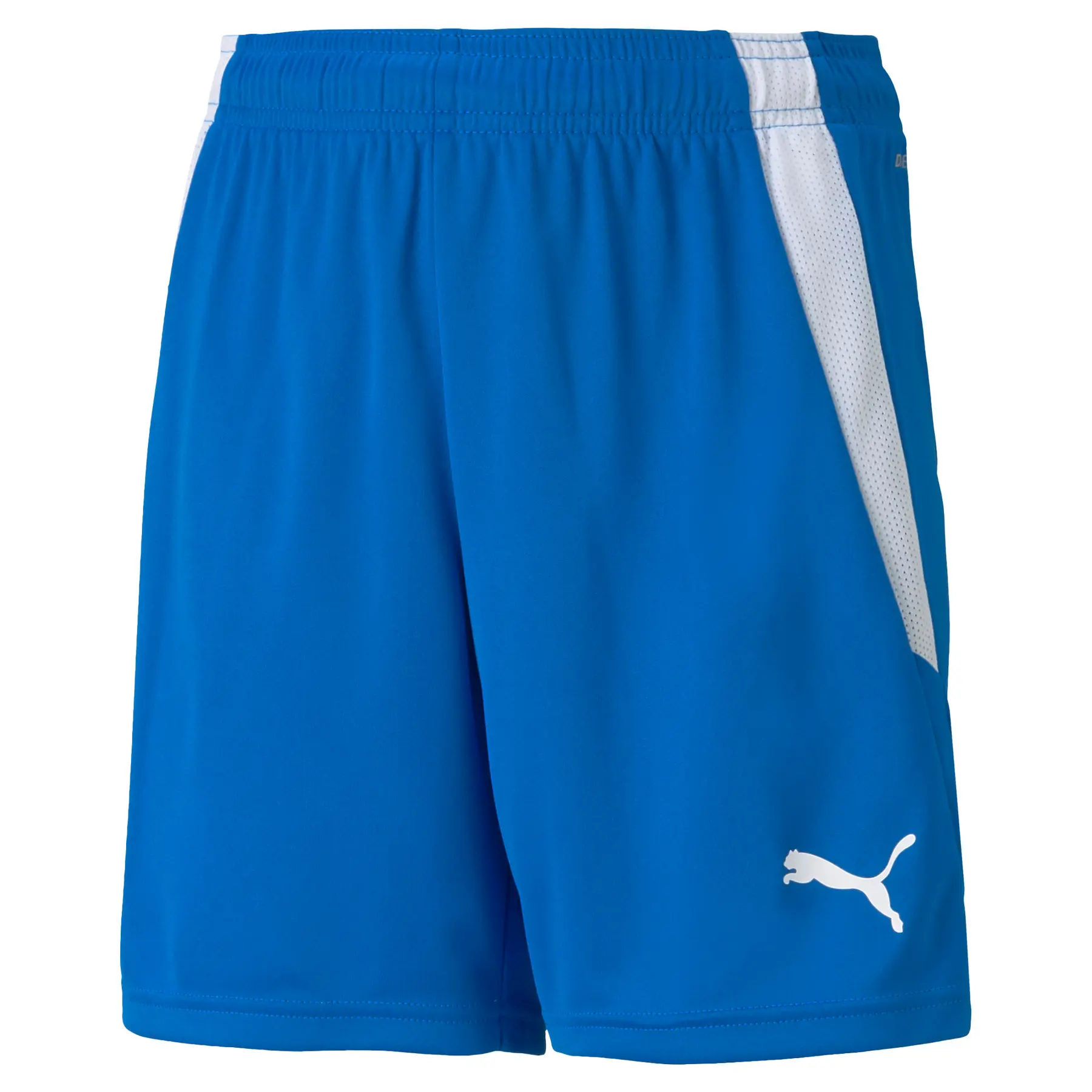 Kindershorts Puma Team Liga
