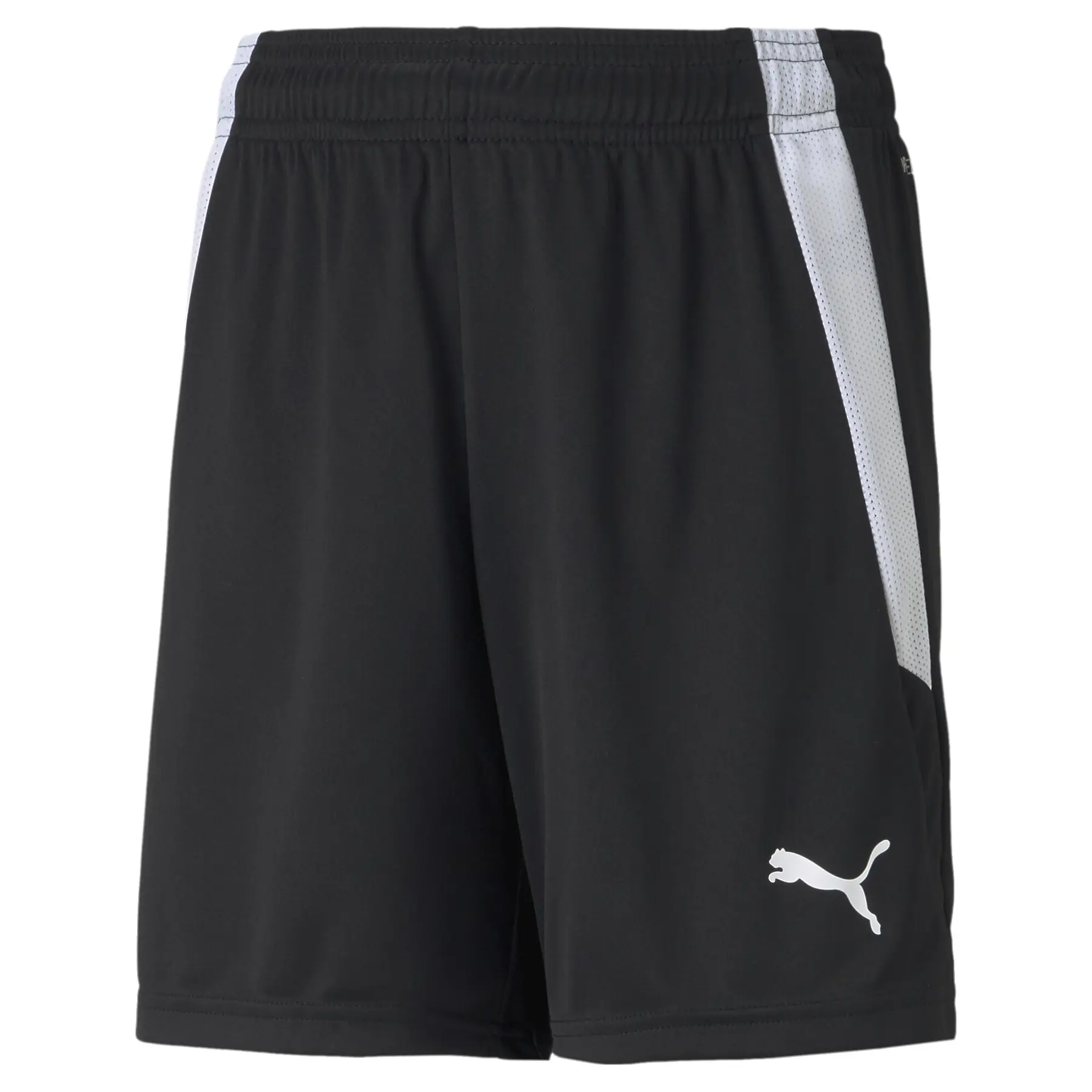 Kindershorts Puma Team Liga