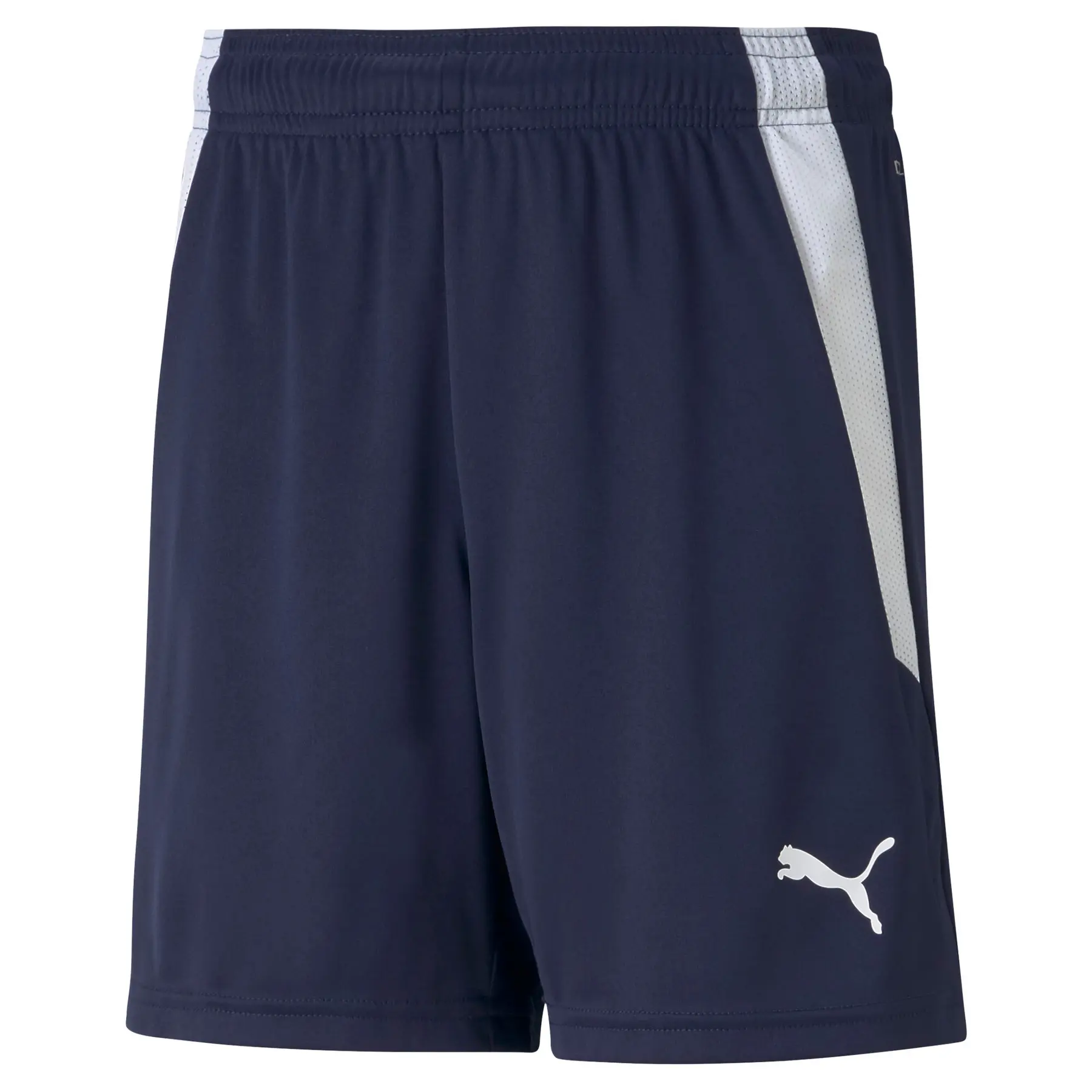 Kindershorts Puma Team Liga