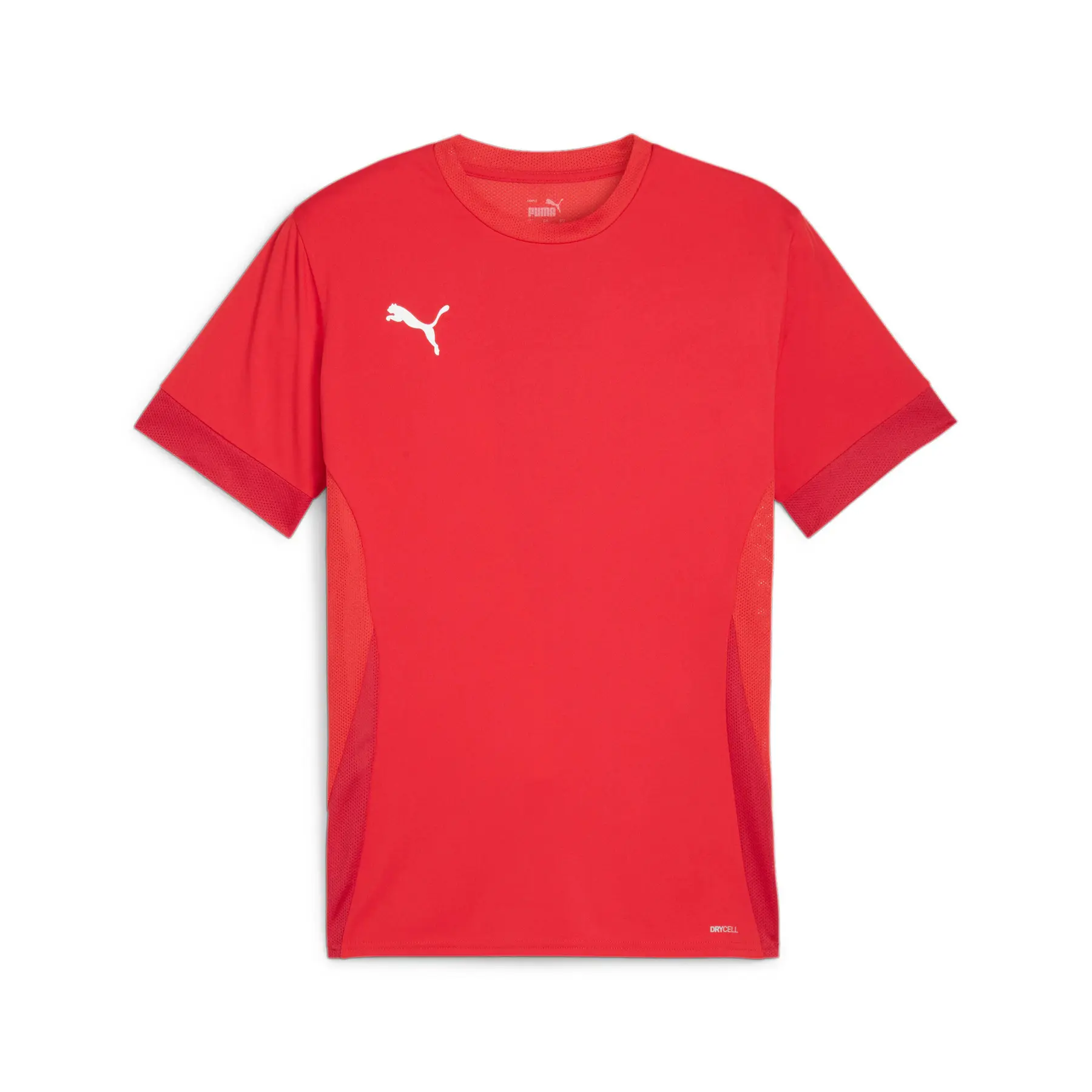 Trikot Puma Teamgoal Matchday