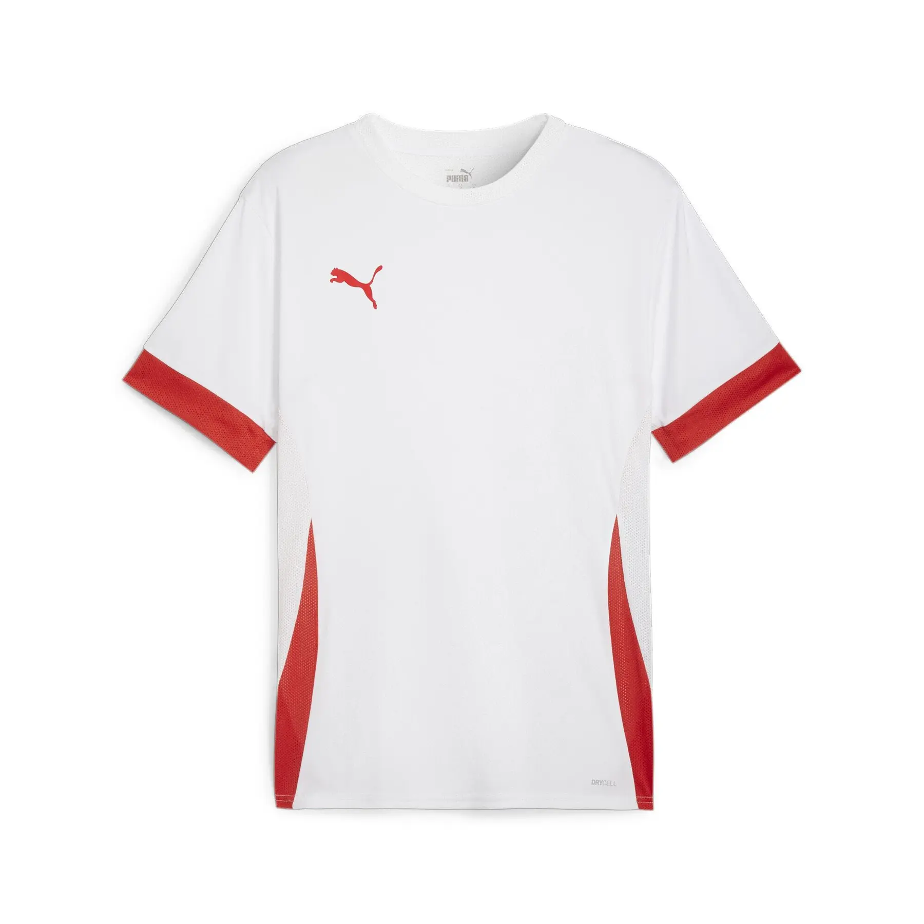 Trikot Puma TeamGoal