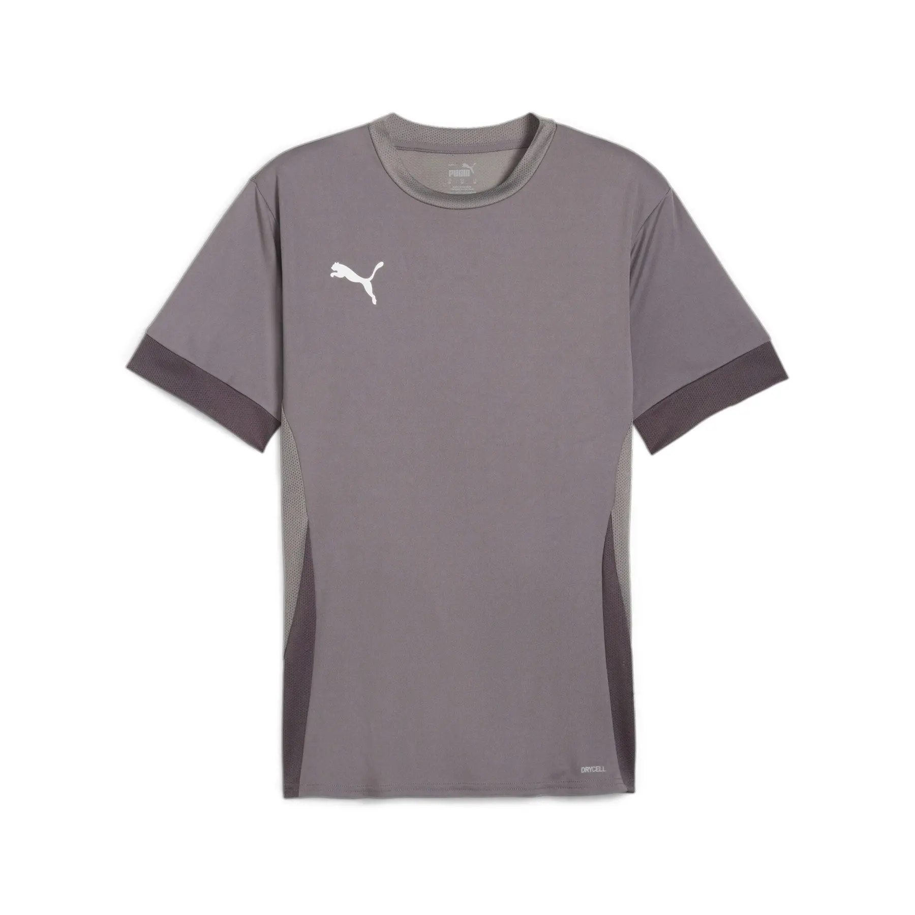 Trikot Puma Teamgoal Matchday