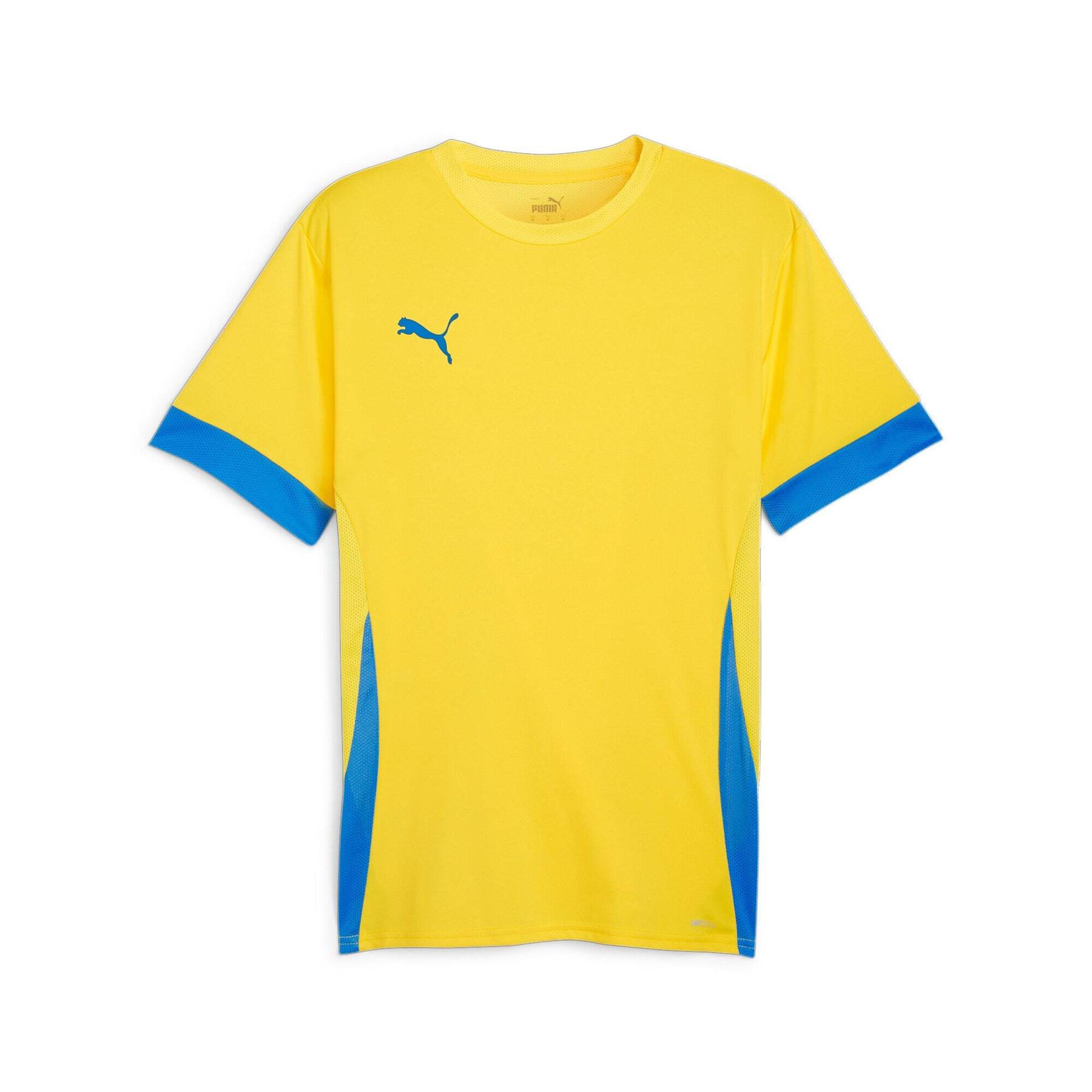 Jersey Puma TeamGoal
