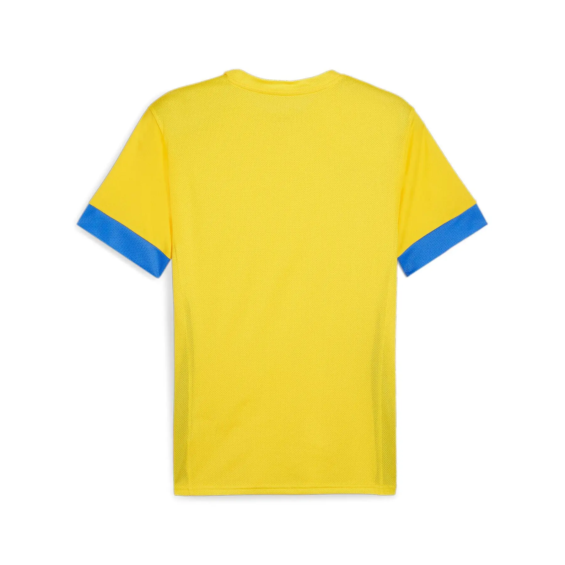 Jersey Puma TeamGoal | Foot-Store