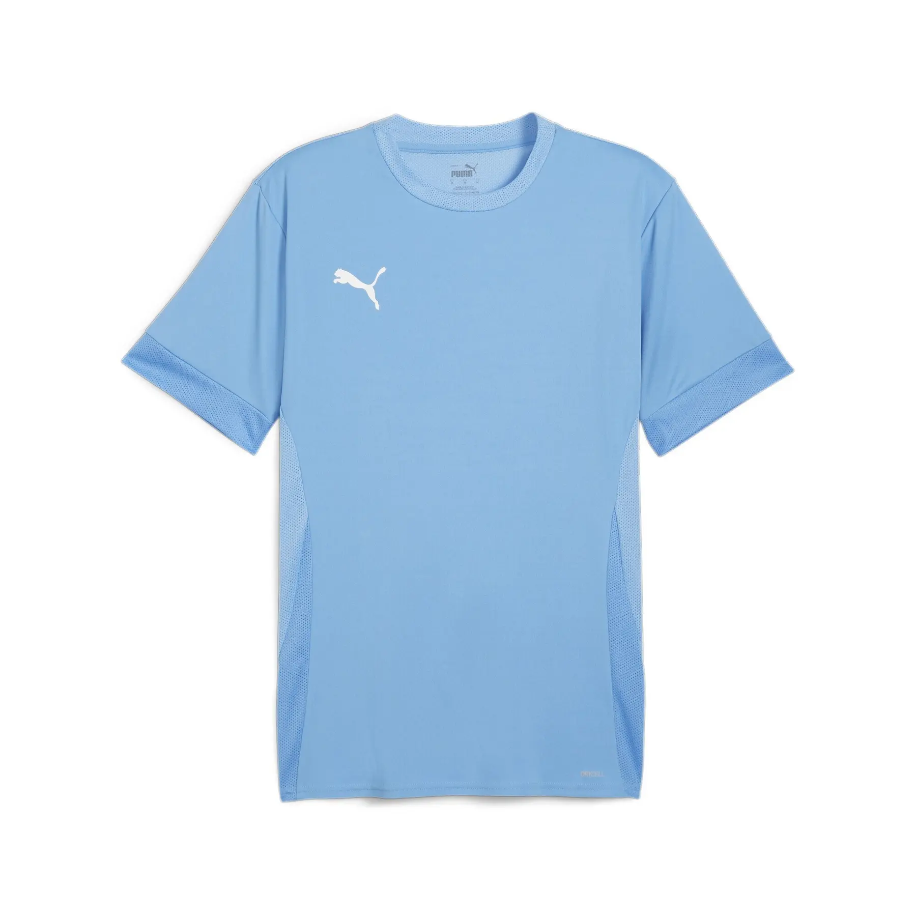 Trikot Puma Teamgoal Matchday