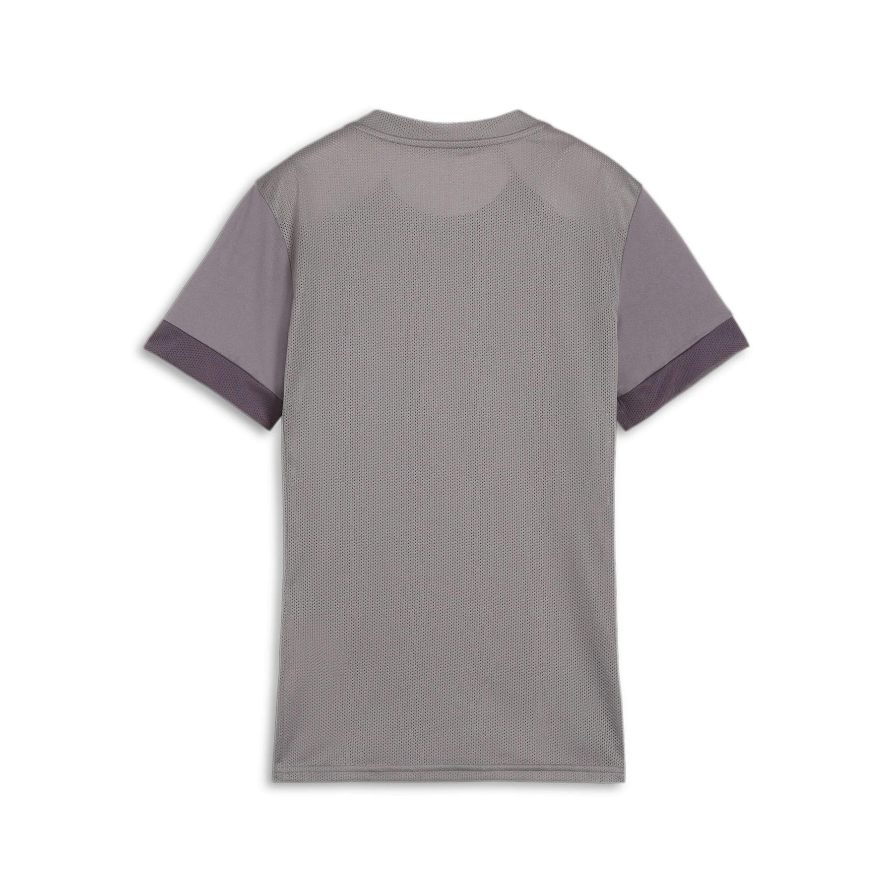 product/p/u/puma_705749-13_3.jpg