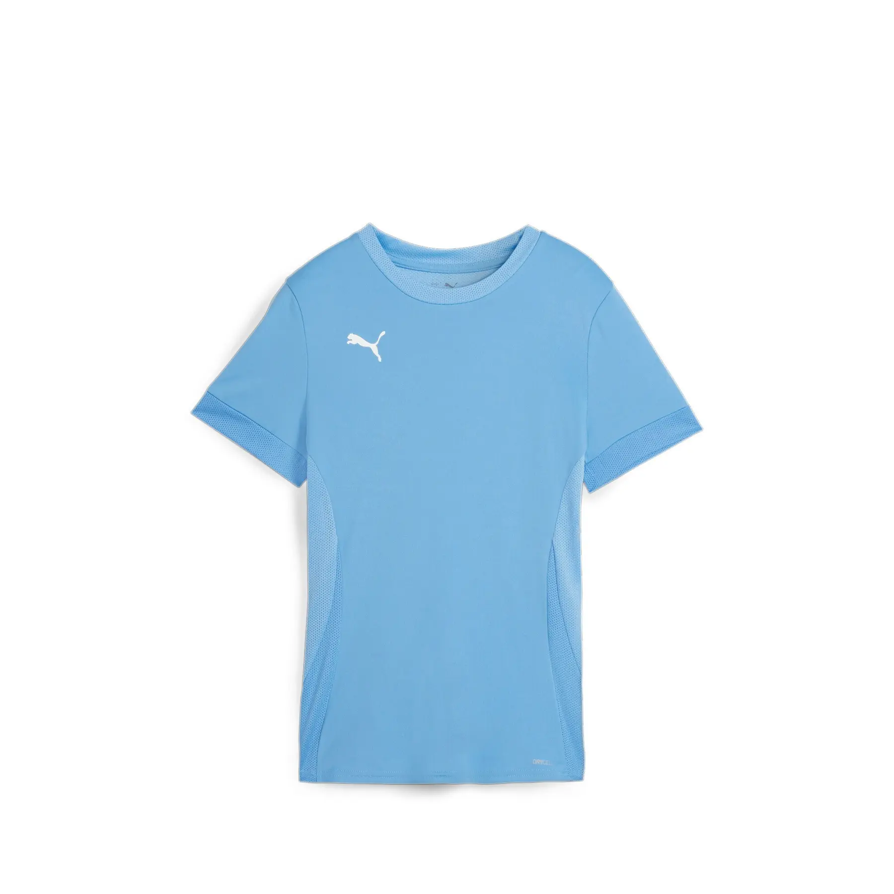 Trikot Damen Puma Teamgoal Matchday