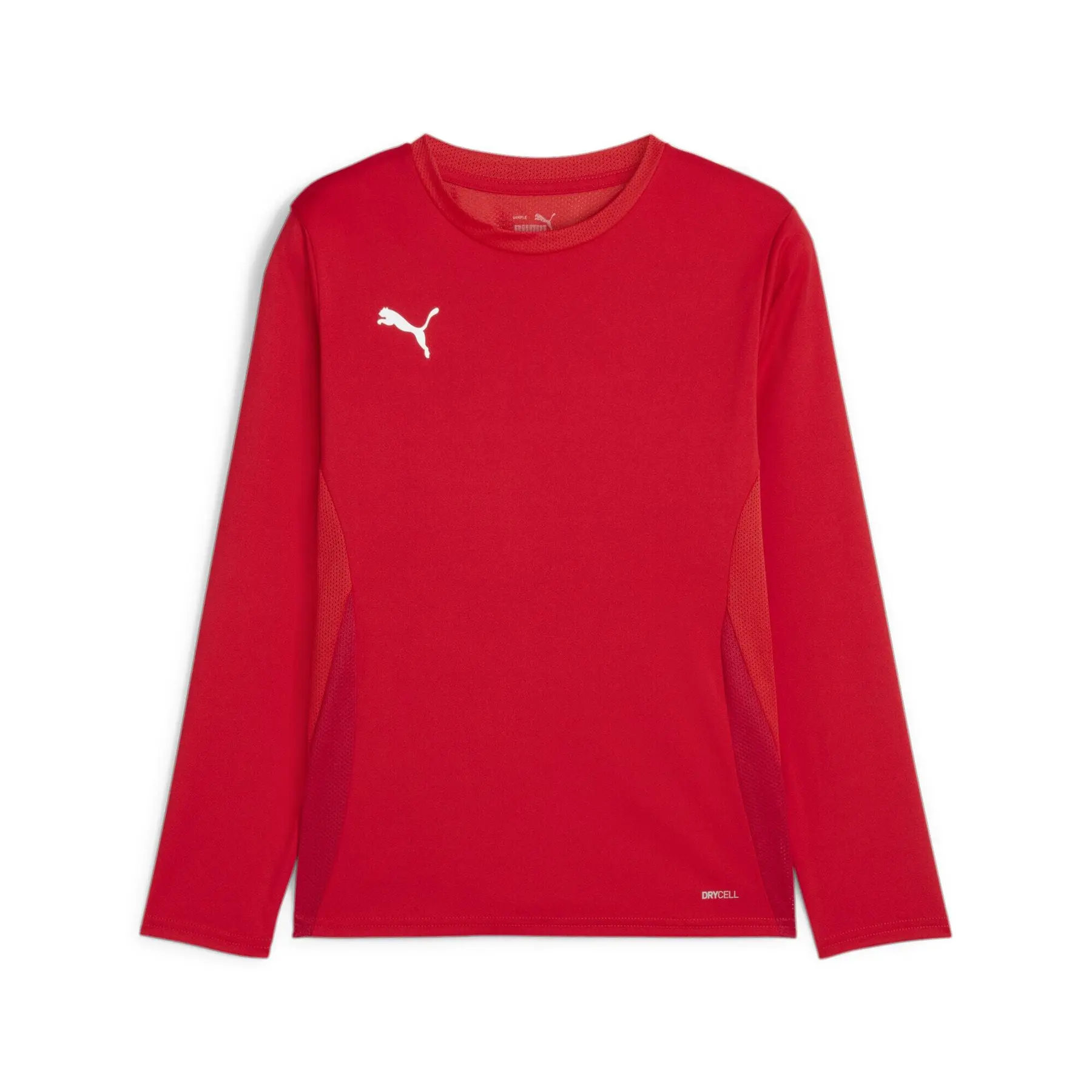 Langarmtrikot für Kinder Puma TeamGoal
