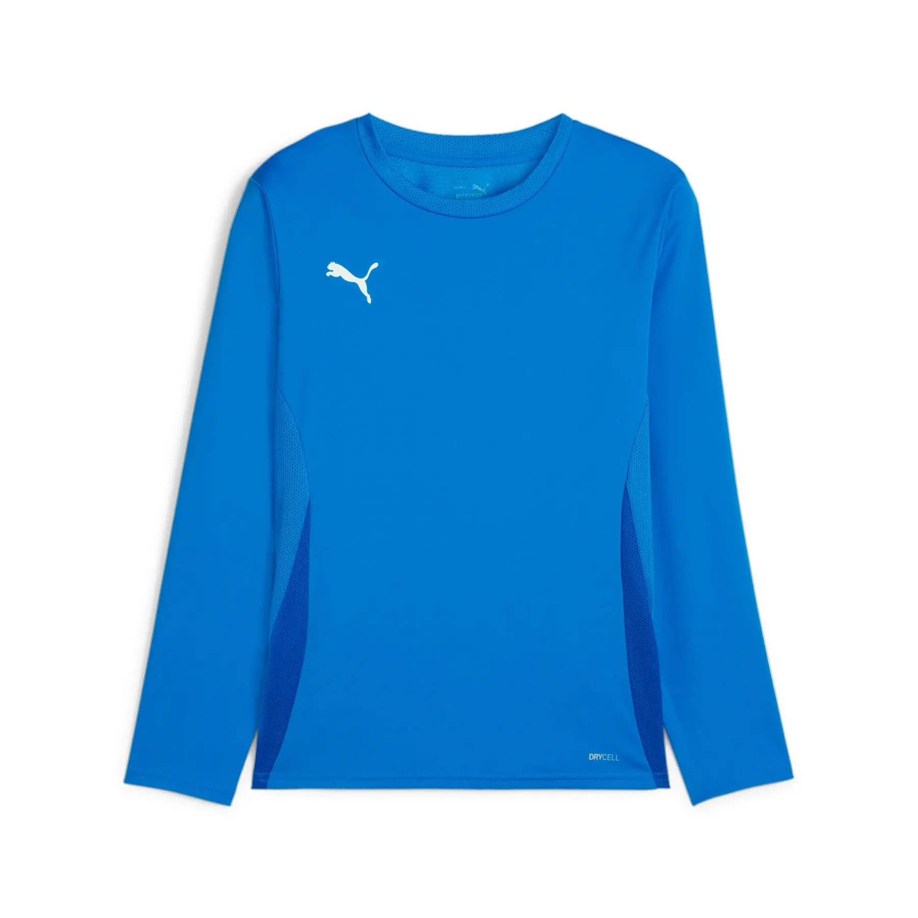Langarmtrikot für Kinder Puma TeamGoal