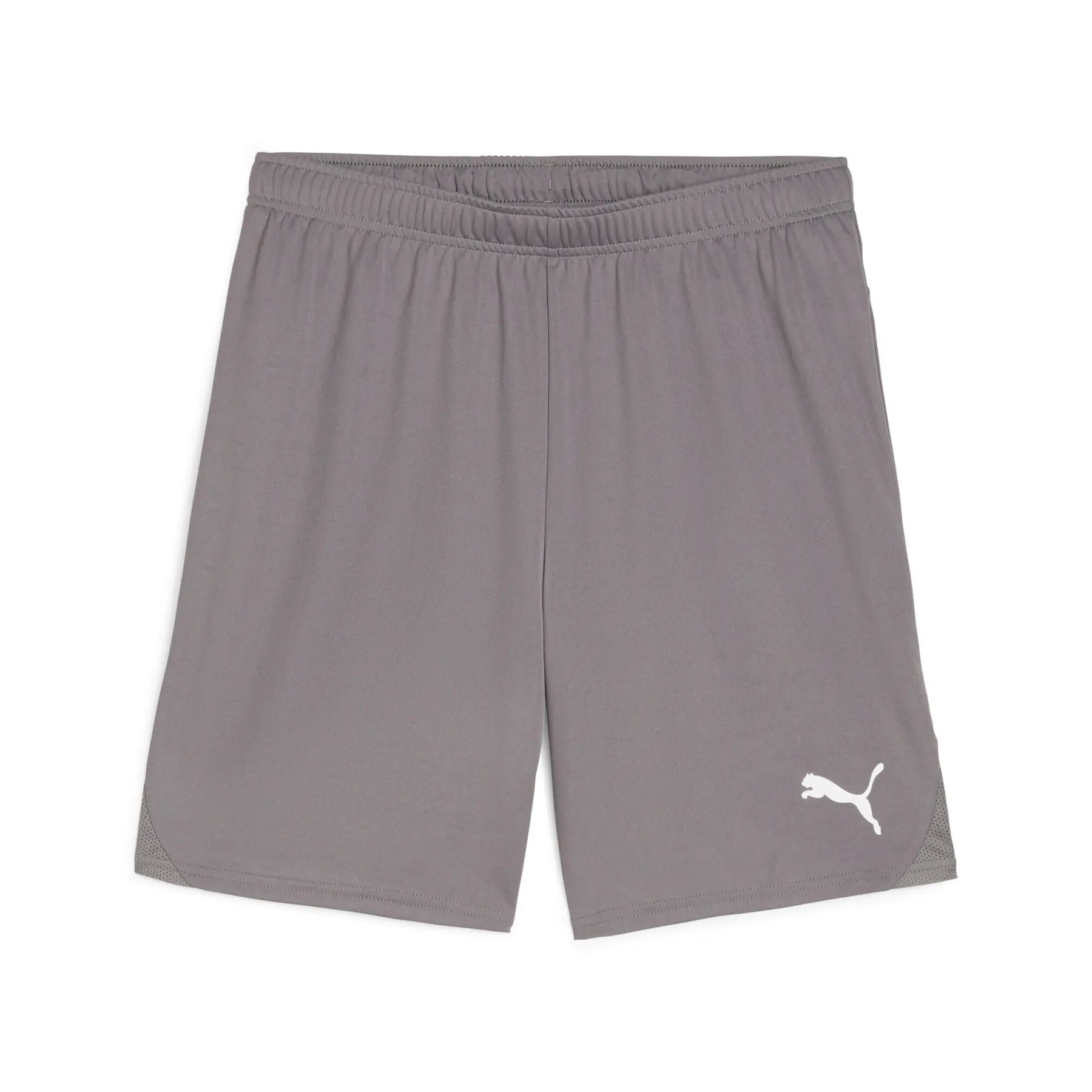 Shorts Puma TeamGloal