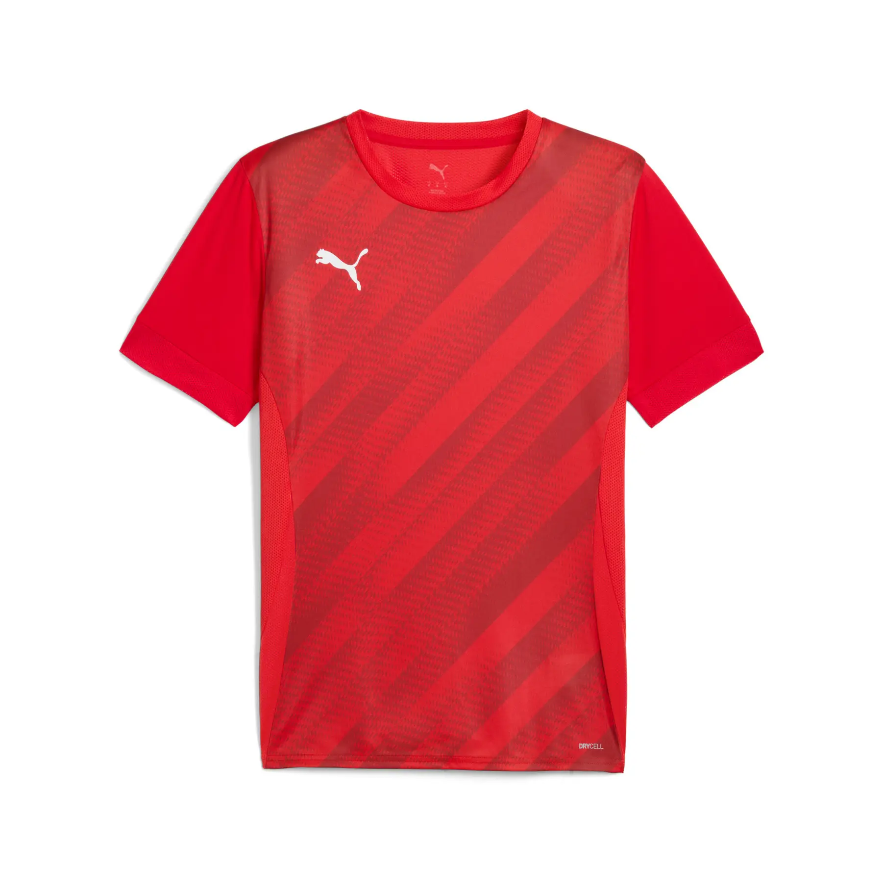 Puma teamGOAL Graphic Trikot