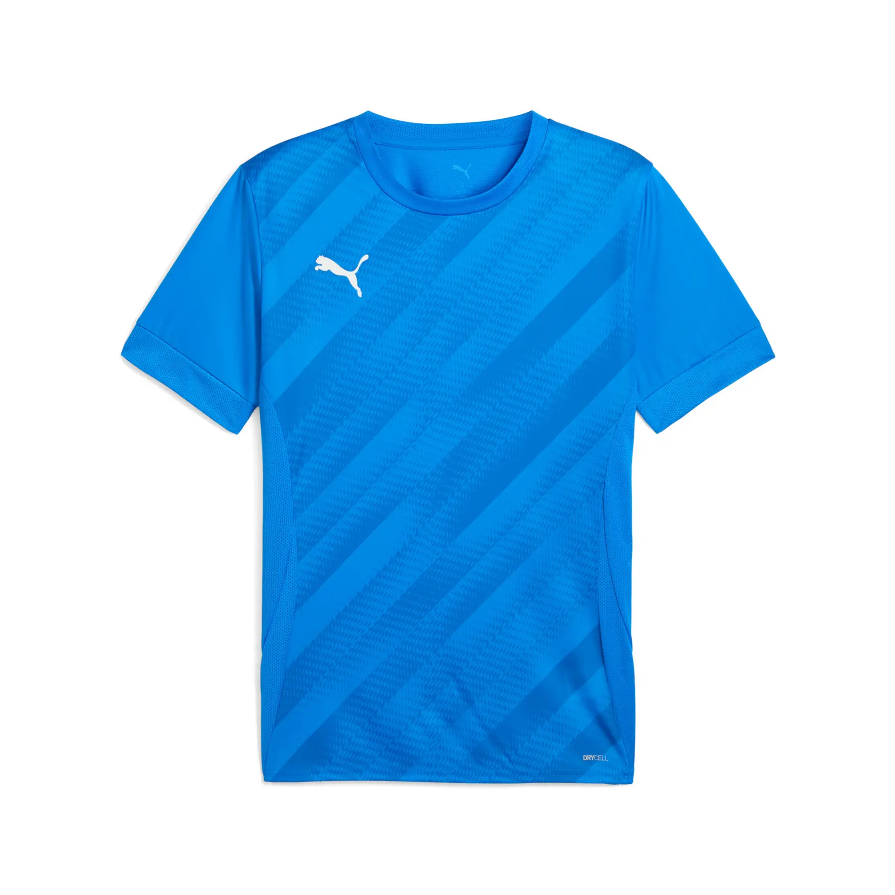 Puma teamGOAL Graphic Trikot