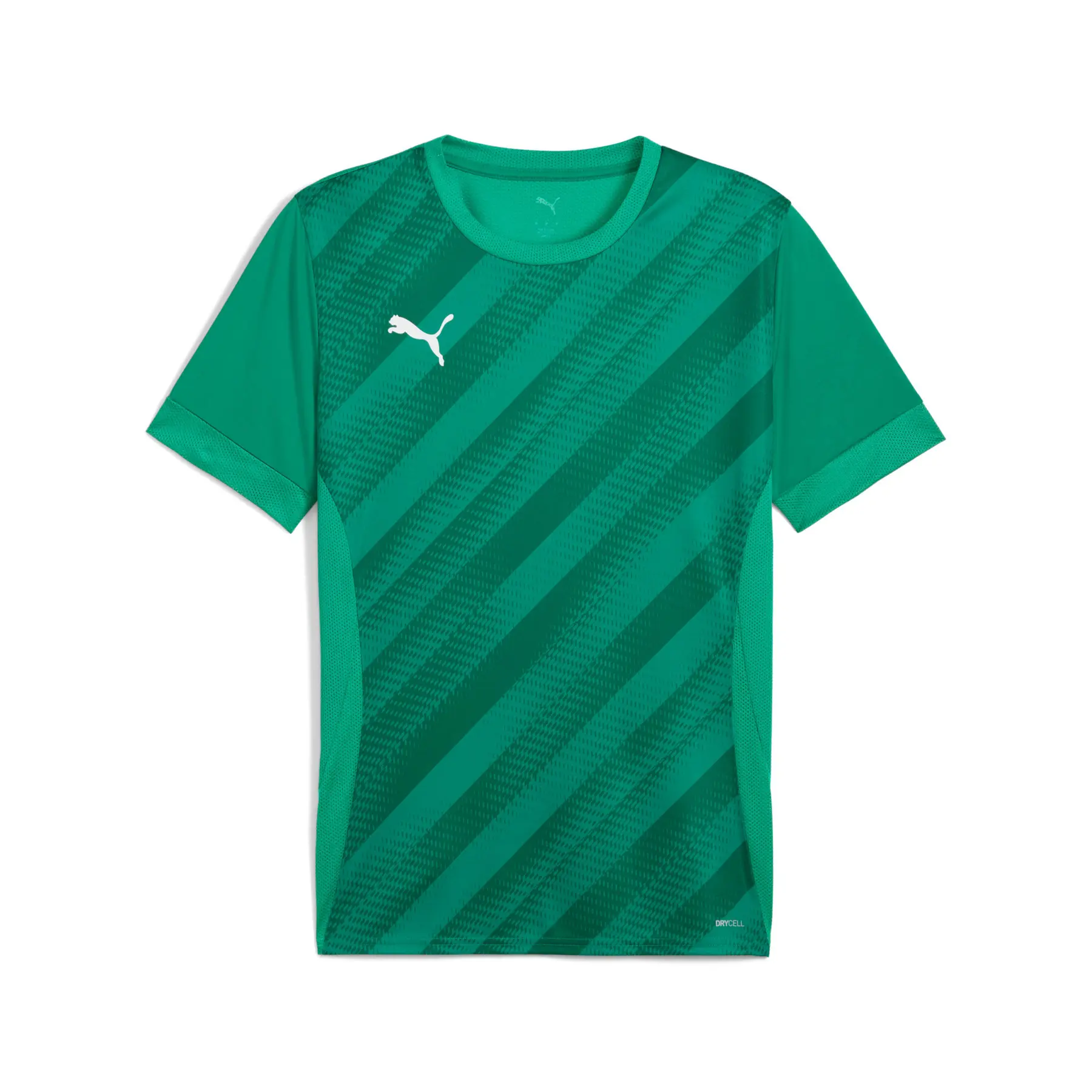 Puma teamGOAL Graphic Trikot