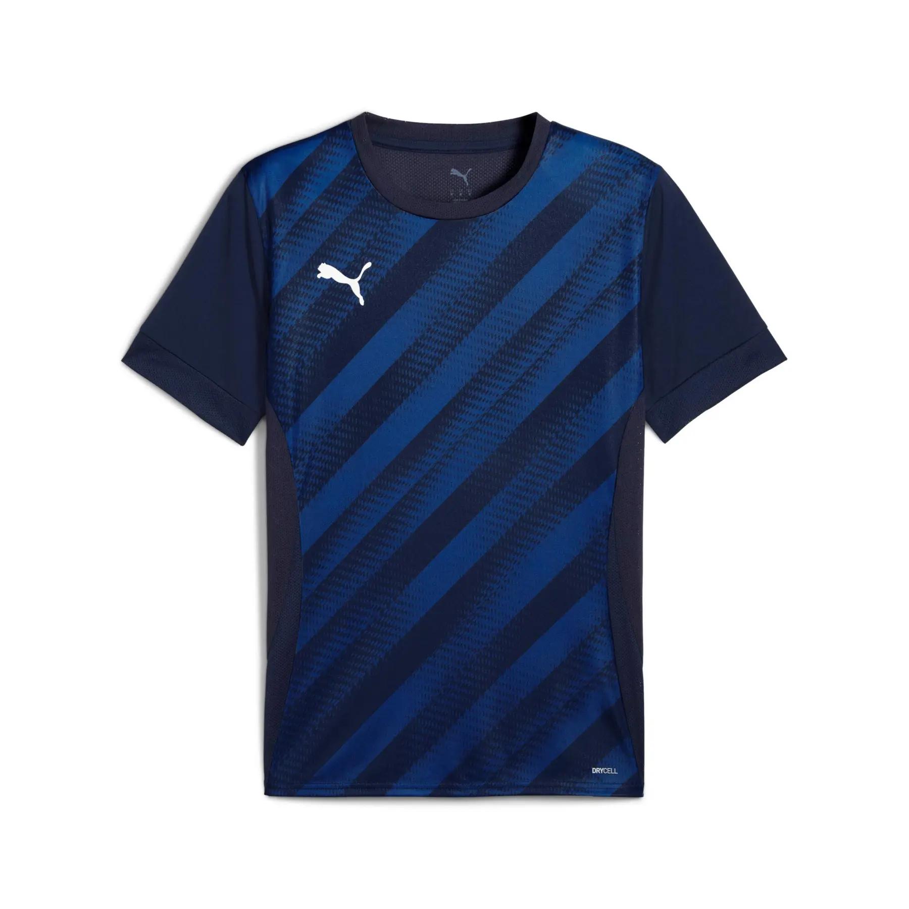Puma teamGOAL Graphic Trikot