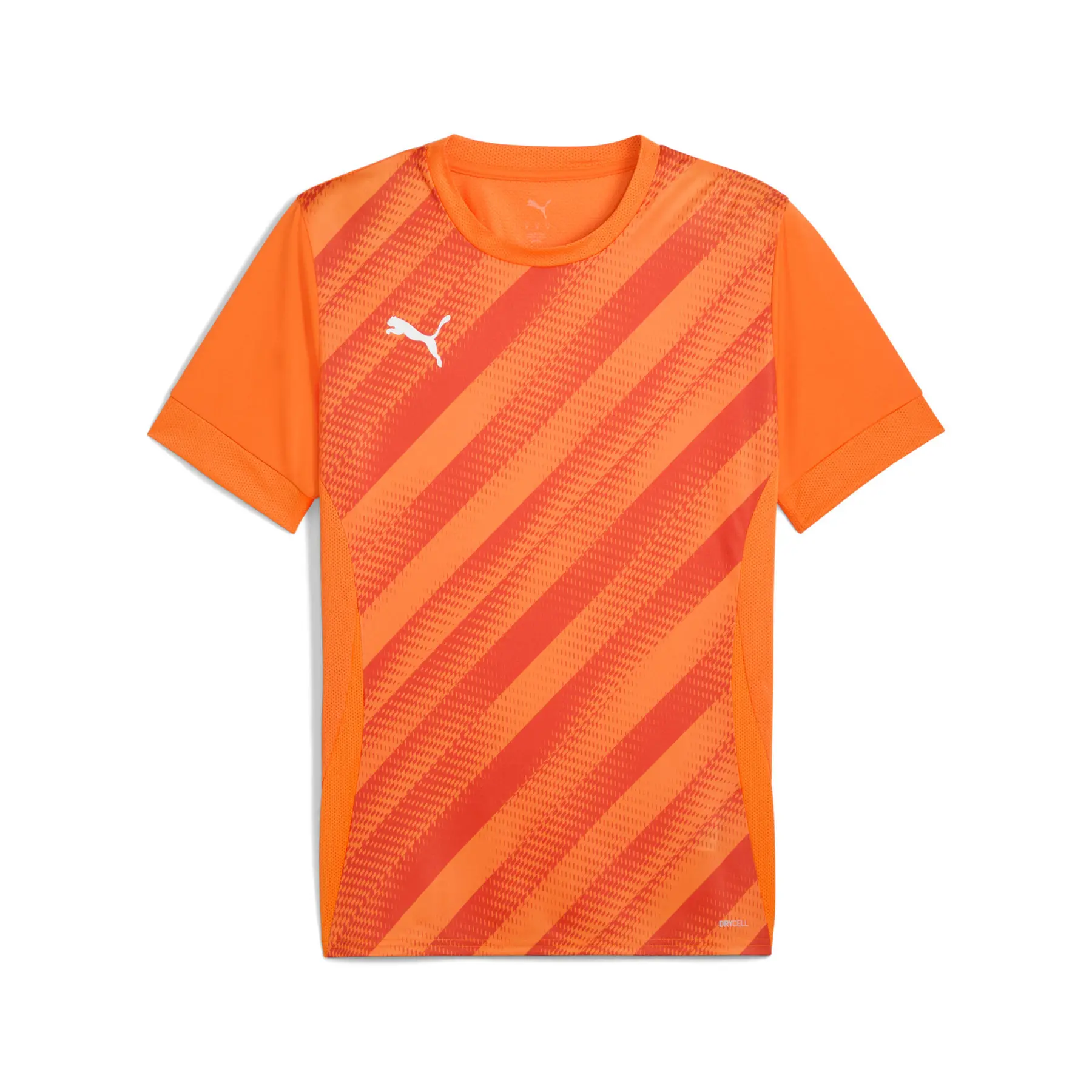 Puma teamGOAL Graphic Trikot