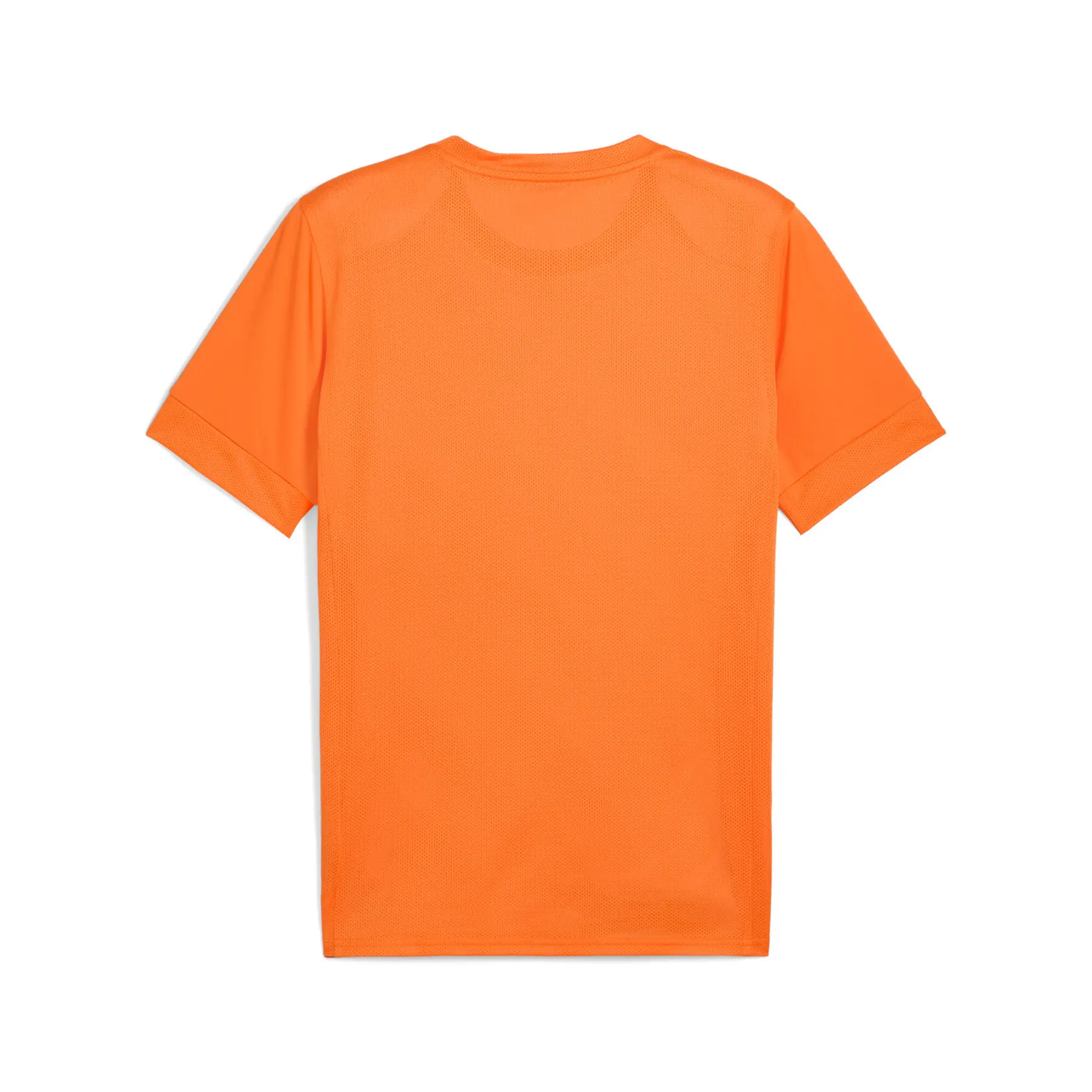 Jersey Puma teamGoal Graphic | Foot-Store