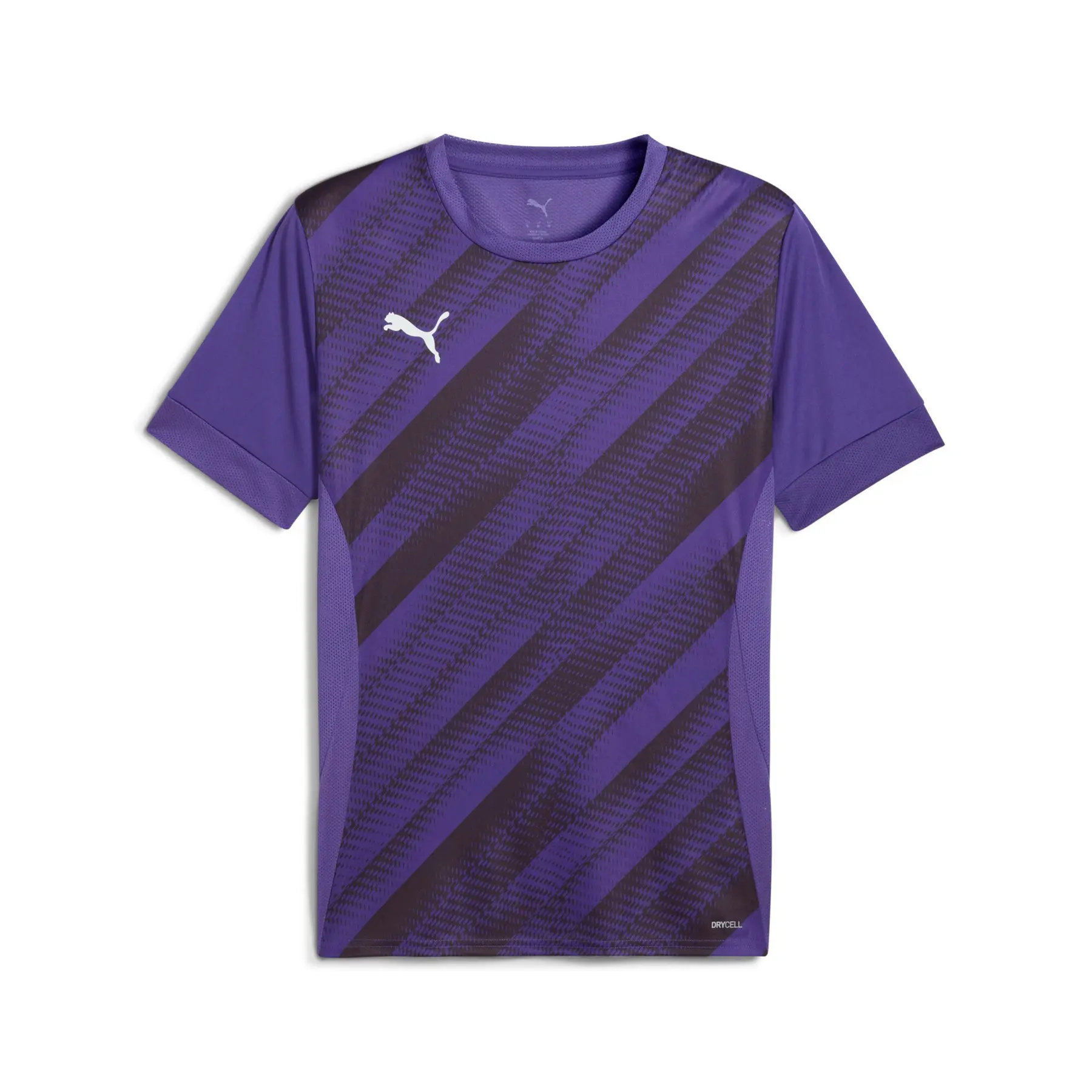 Puma teamGOAL Graphic Trikot