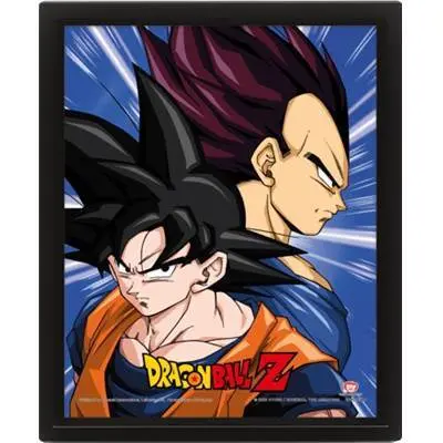 5051265893017 - 3D-Lentikularrahmen Dragon Ball Z Protectors And Destroyers