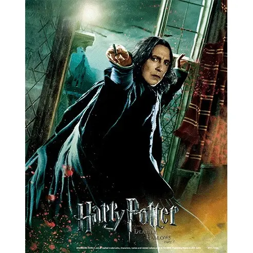 5051265846242 - Lentikularer 3d-Rahmen Harry Potter Deathly Hallows Snape 5051265846242 - Lentikularer 3d-Rahmen Harry Potter Deathly Hallows Snape