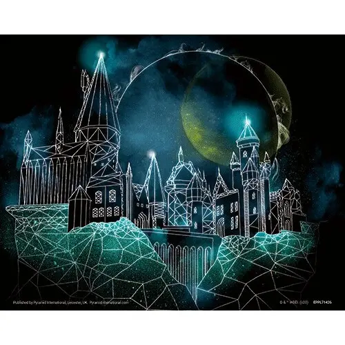 5051265891723 - Geometrischer 3d-Lenticular-Rahmen Harry Potter Hogwarts