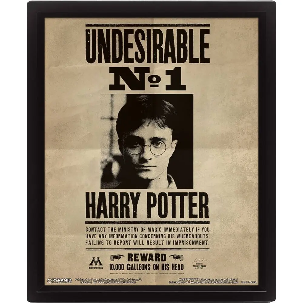 5051265970169 - HARRY POTTER (HARRY & SIRIUS) FRAMED 10X8 3D