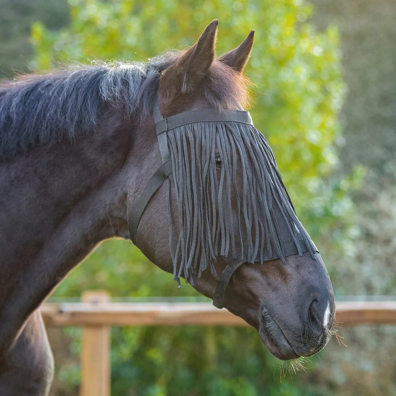 Licol pour cheval avec masques anti-mouches Q-essentials