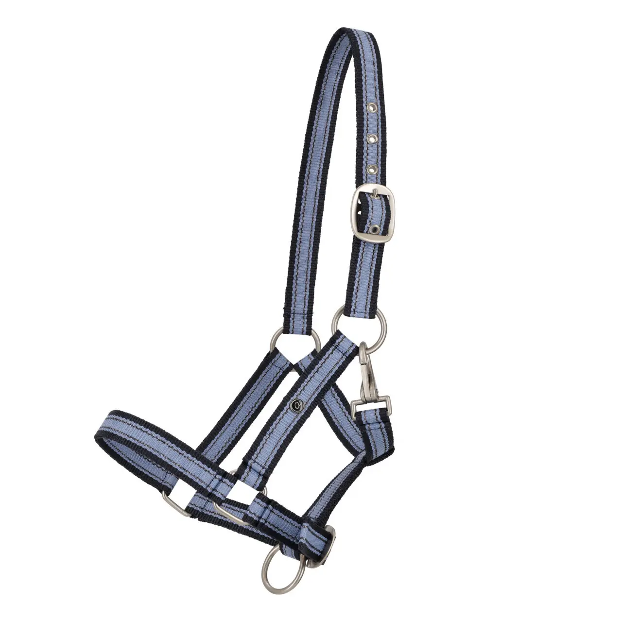 Meilleurs prix pour Licol pour cheval QHP Yearling