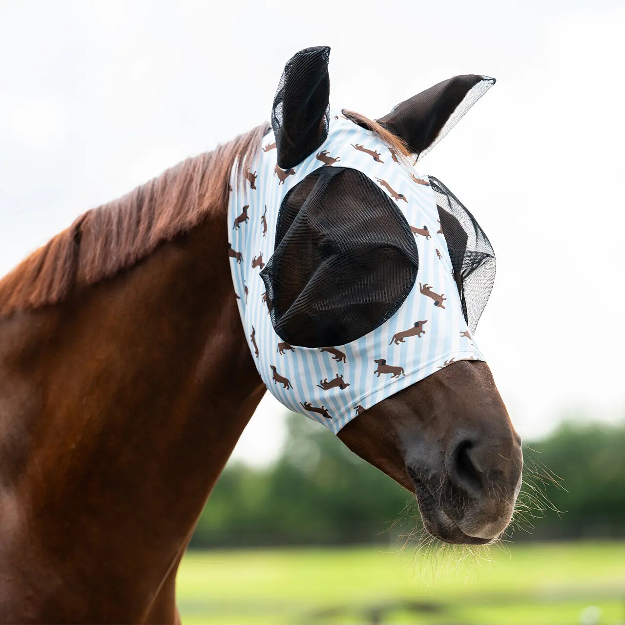 Comparer les prix de Masque anti-mouches pour cheval QHP Super Bug Stable Buddy