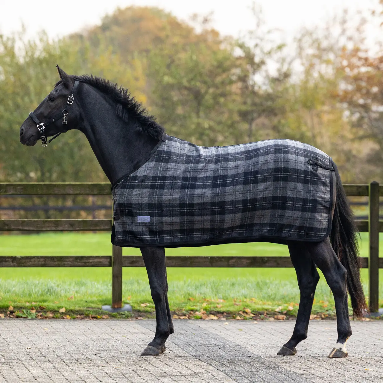 Couverture d'extérieur pour cheval à carreaux QHP