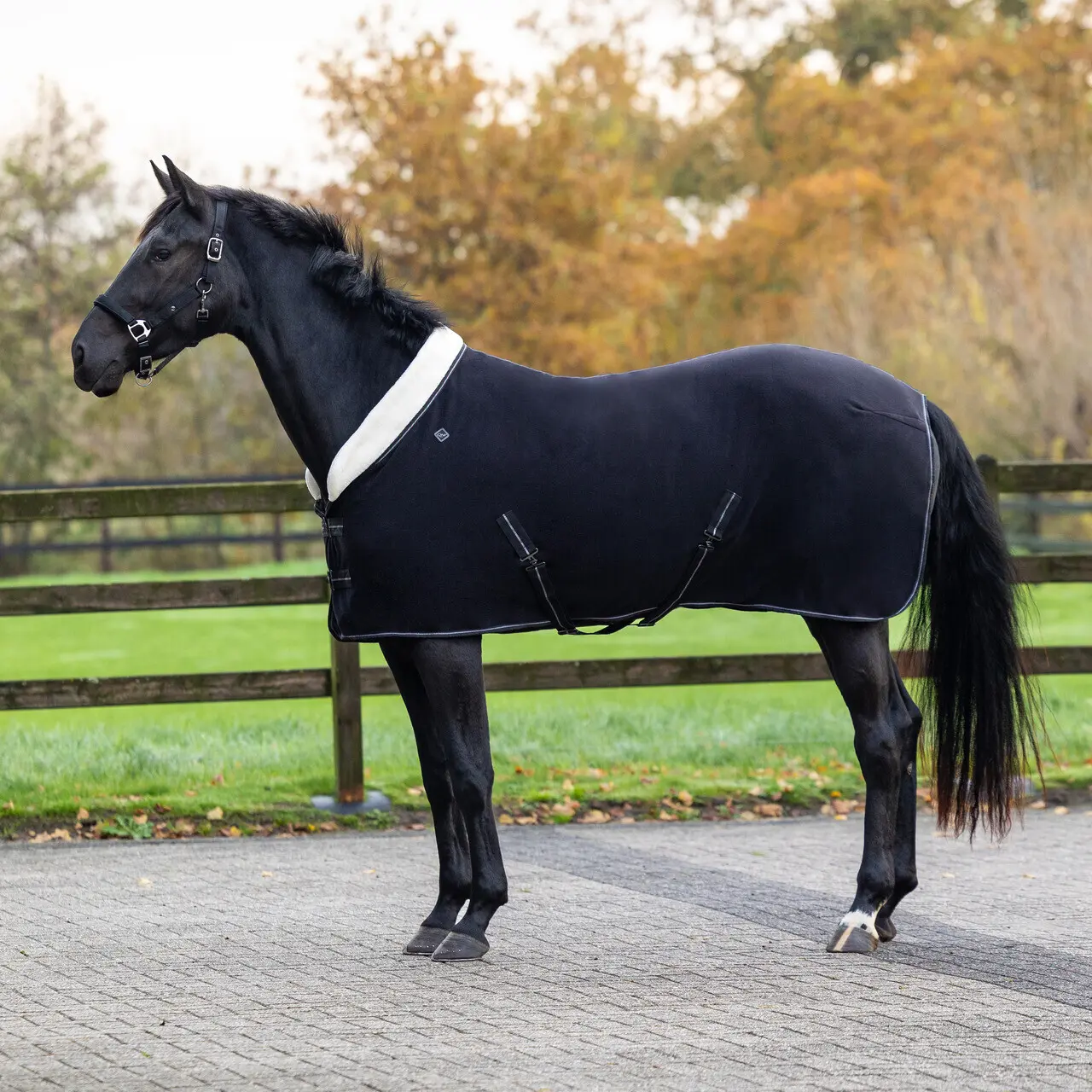 Couverture polaire pour cheval QHP Shine
