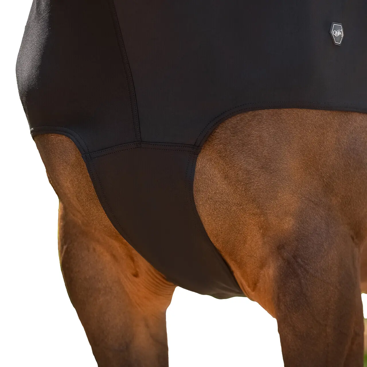 Comparer les prix de Couvre-cou pour cheval QHP