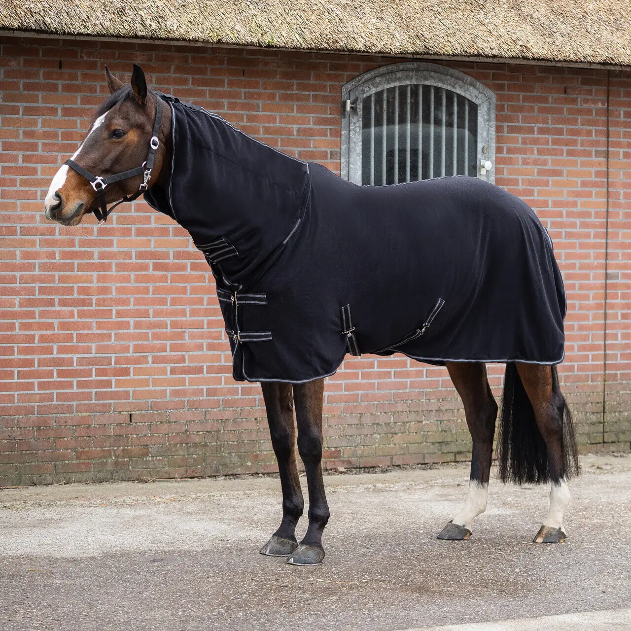Fleecedeken voor paarden QHP Terry-Dry 240g