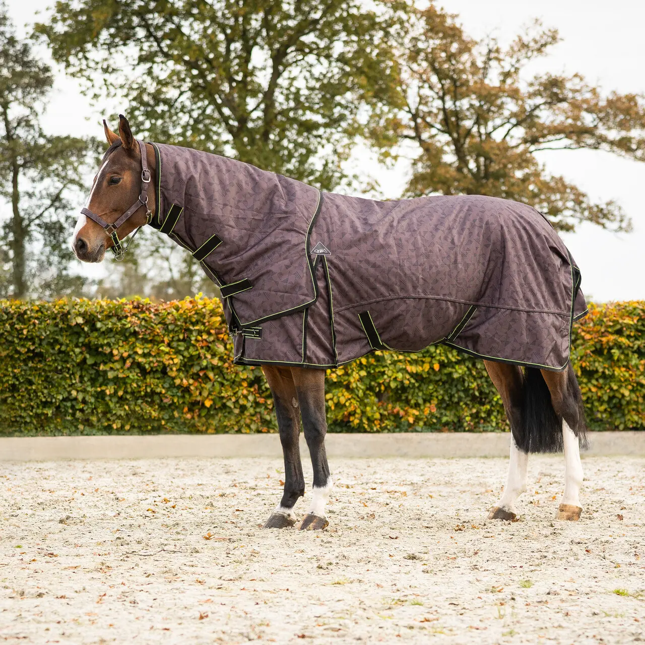 Couverture d'extérieur pour cheval avec couvre-cou détachable QHP 150g