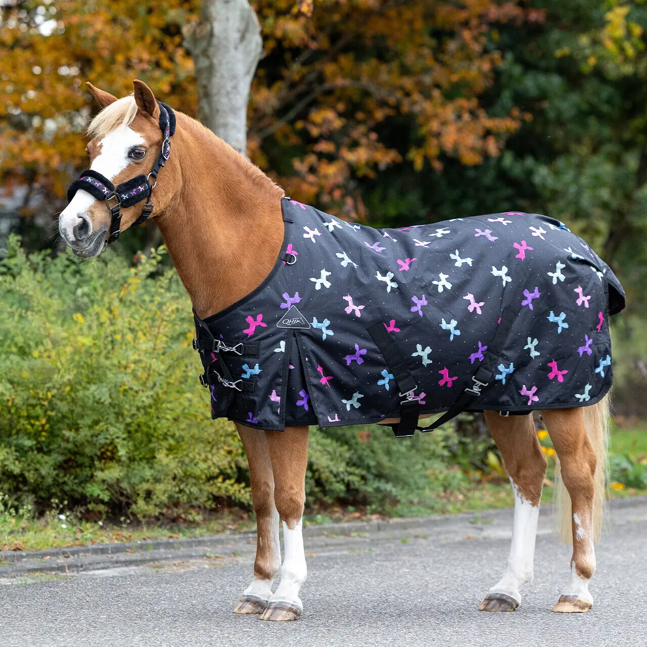 Couverture d'extérieur pour cheval QHP Isalyn 100g