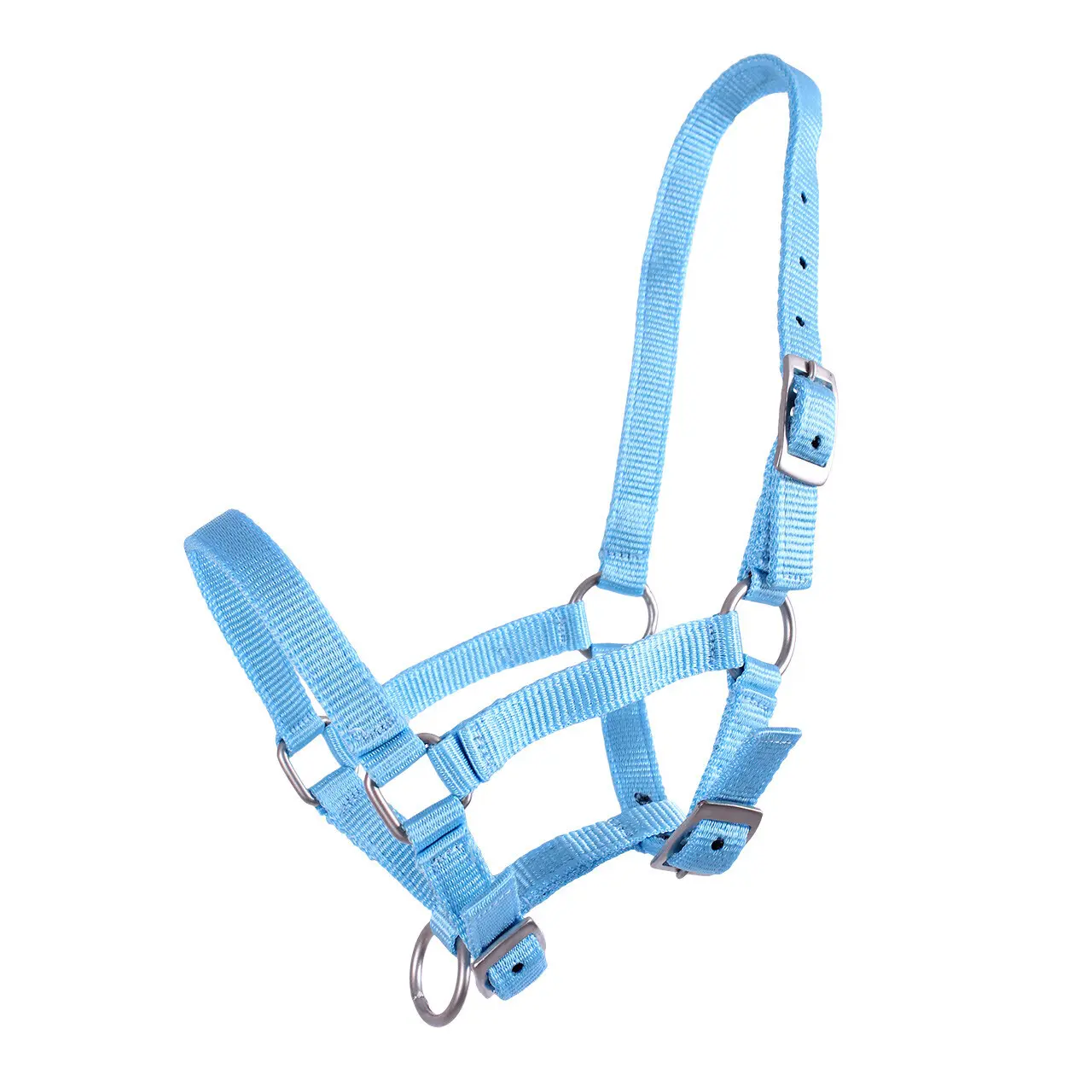 Q-Essentials Bleu Halter For Foal