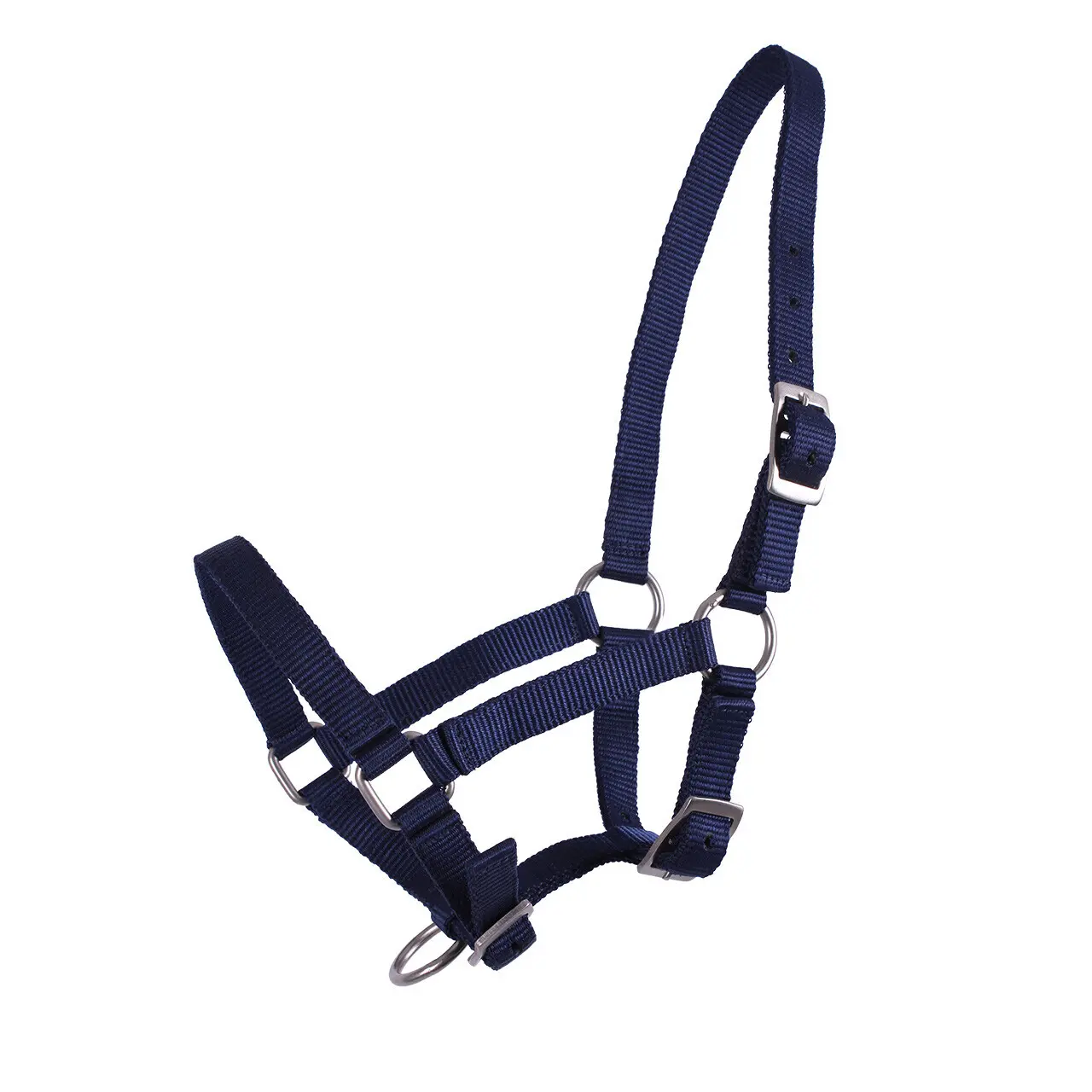 Q-Essentials Bleu Halter For Foal