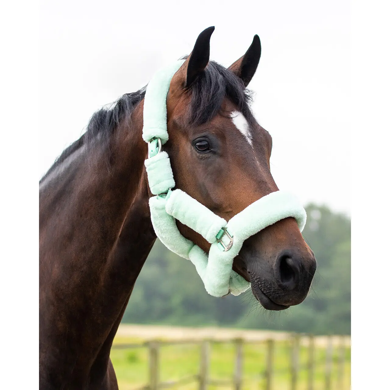 Licol Alaska QHP – Entièrement Doublé En Fausse Fourrure Pour Chevaux Sensibles, Confortable Et Réglable