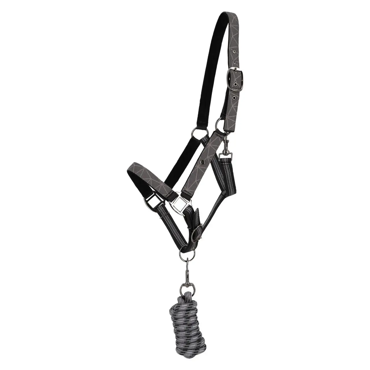 Meilleurs prix pour Ensemble licol et longe QHP