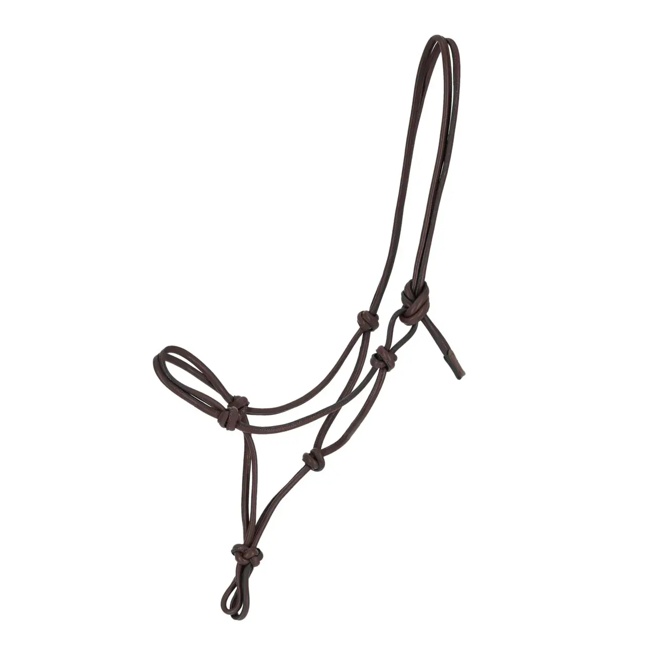 Qhp Marron Lead Rope Halter For Horse Liberta