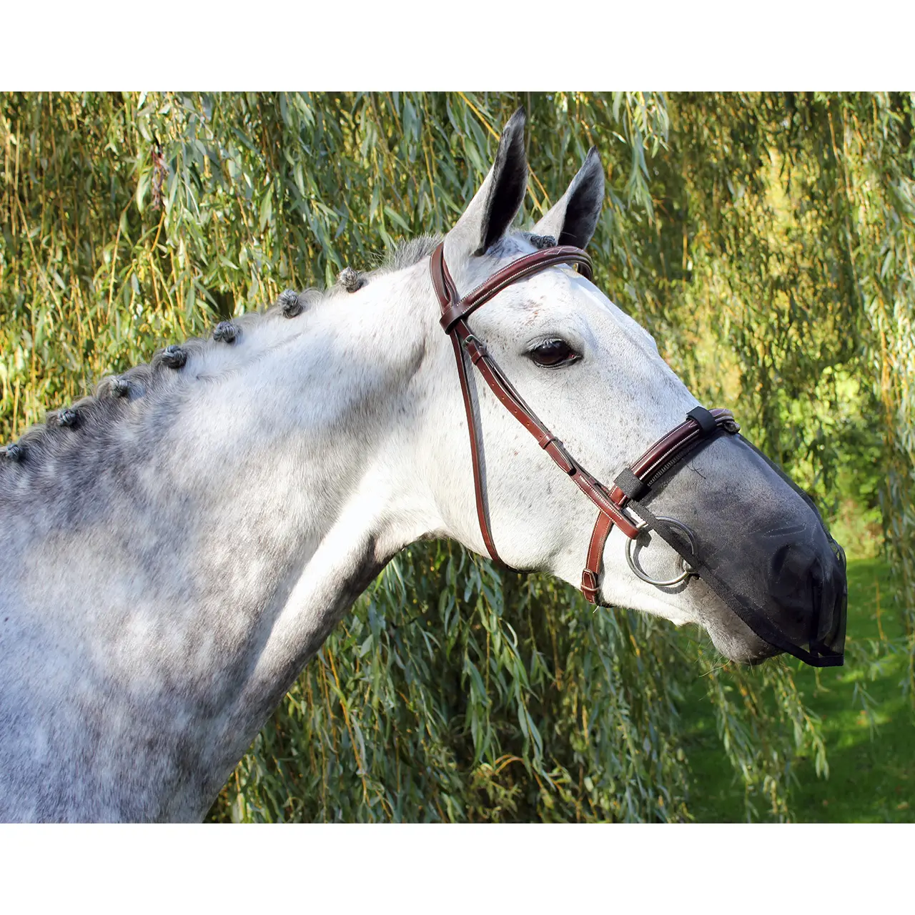 Protection nasale anti-mouches pour cheval Q-essentials