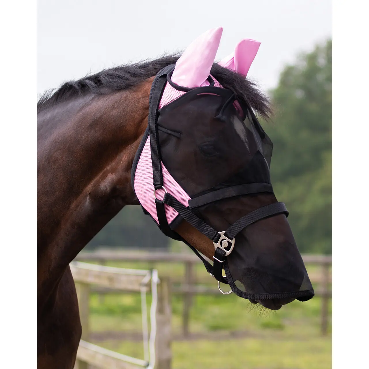 Qhp Rose Anti-Fly Mask For Horse