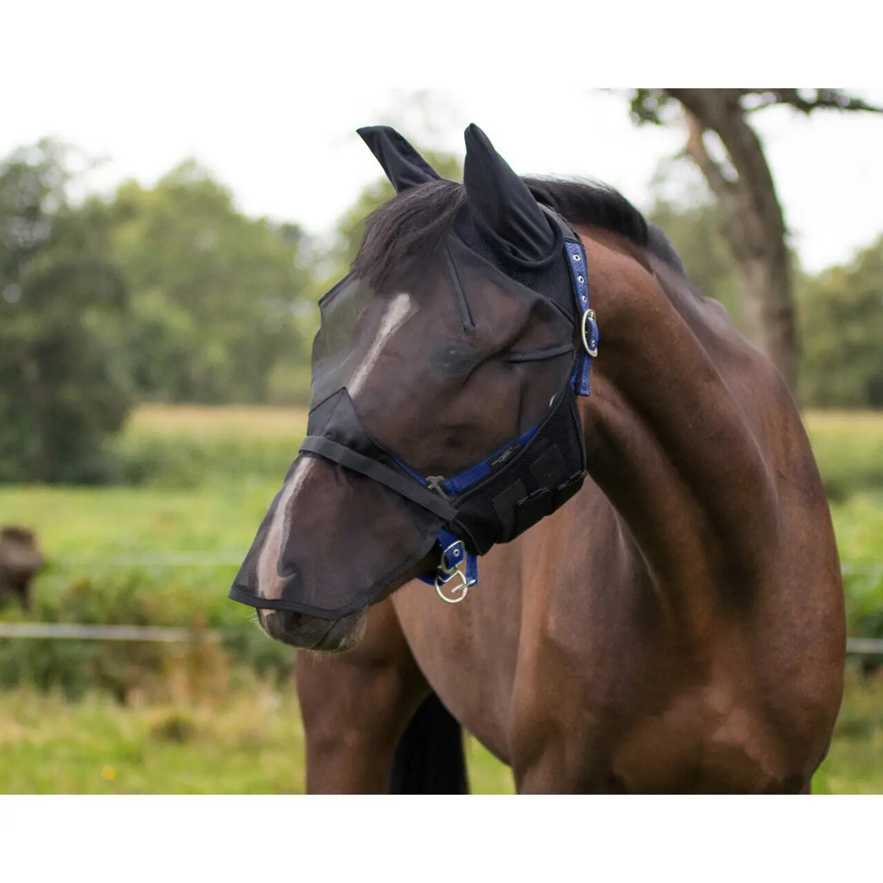 Qhp Noir Anti-Fly Mask For Horse