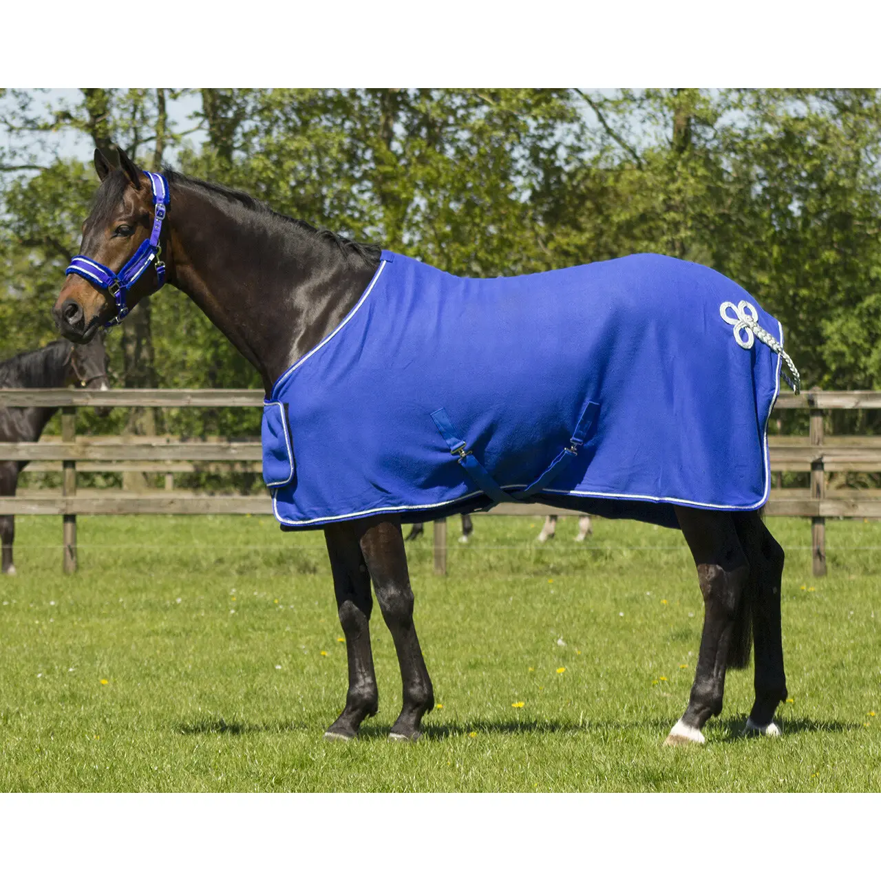 Qhp Bleu Fleece Blanket Ornament